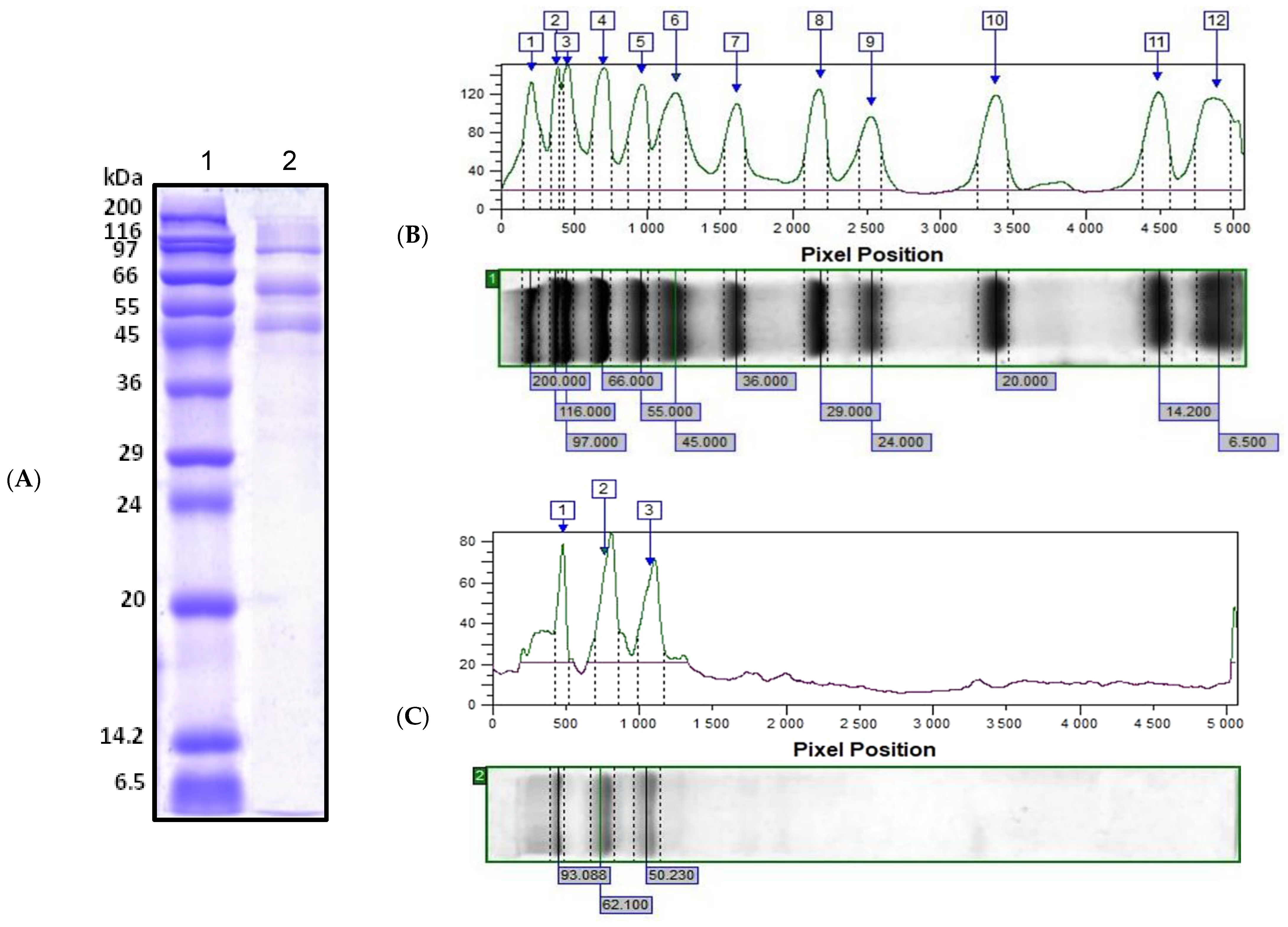 Pharmaceuticals 17 00068 g001