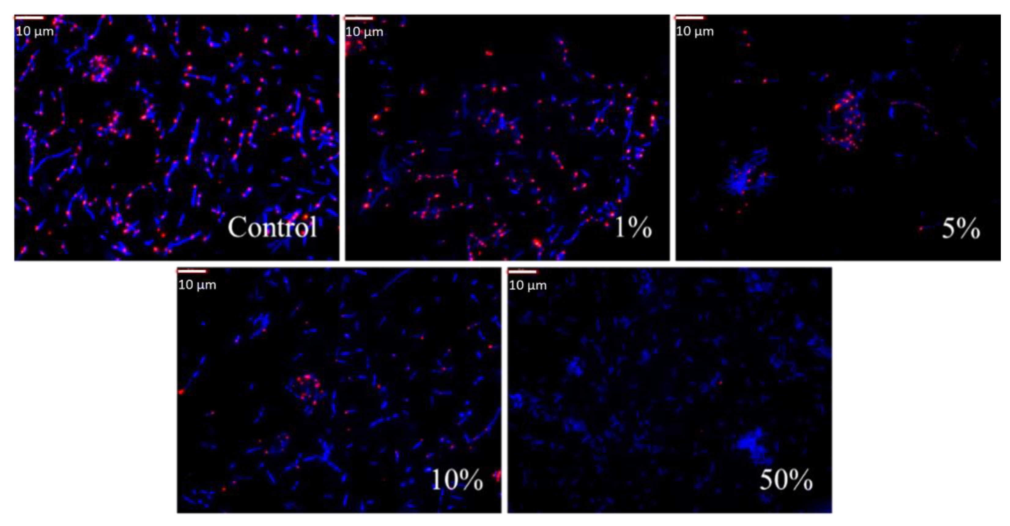 Pharmaceuticals 17 00068 g004
