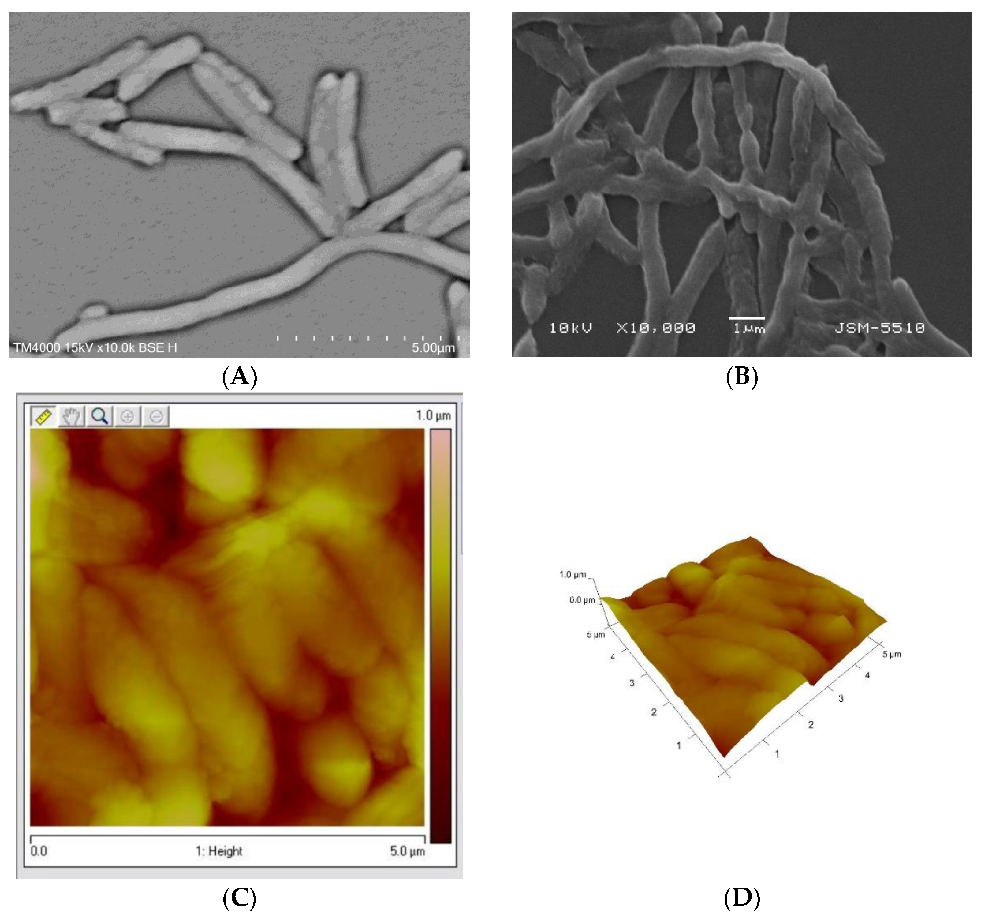Pharmaceuticals 17 00068 g007