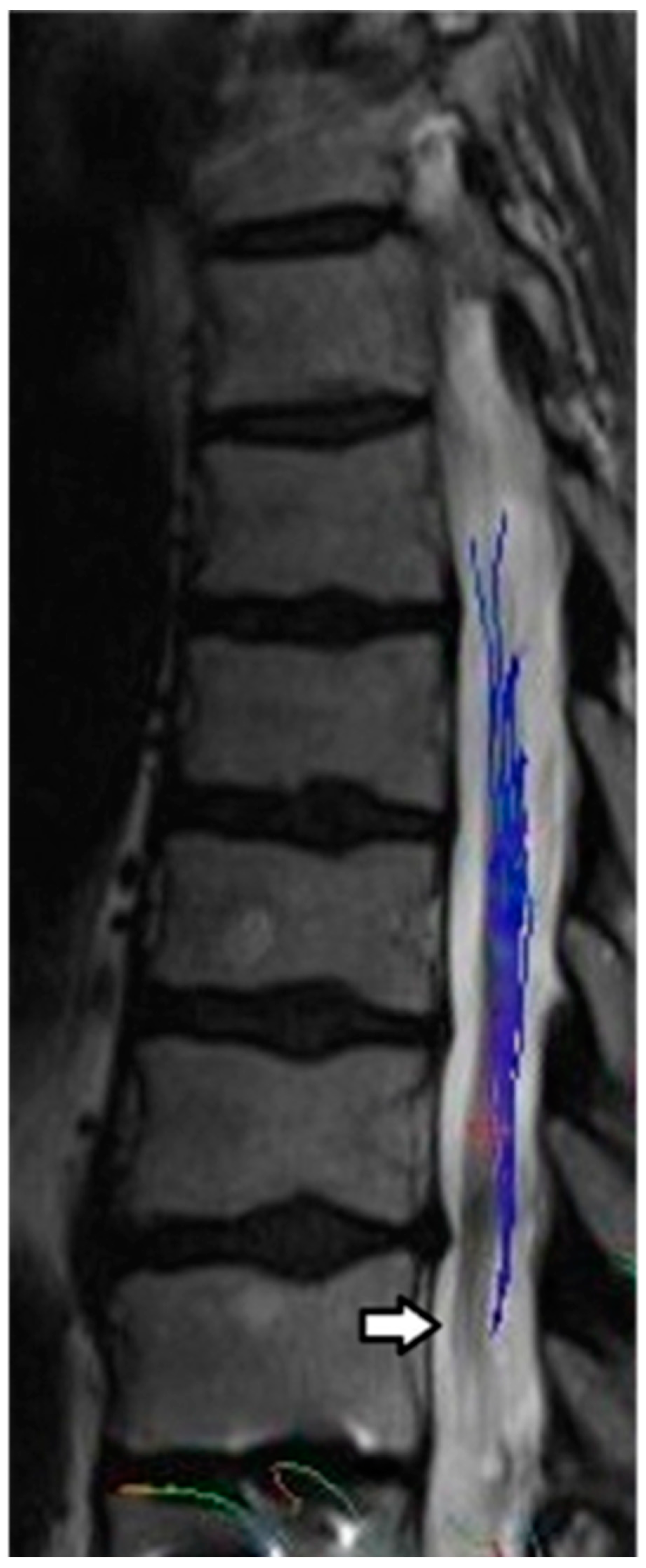 Pharmaceuticals 17 00071 g002