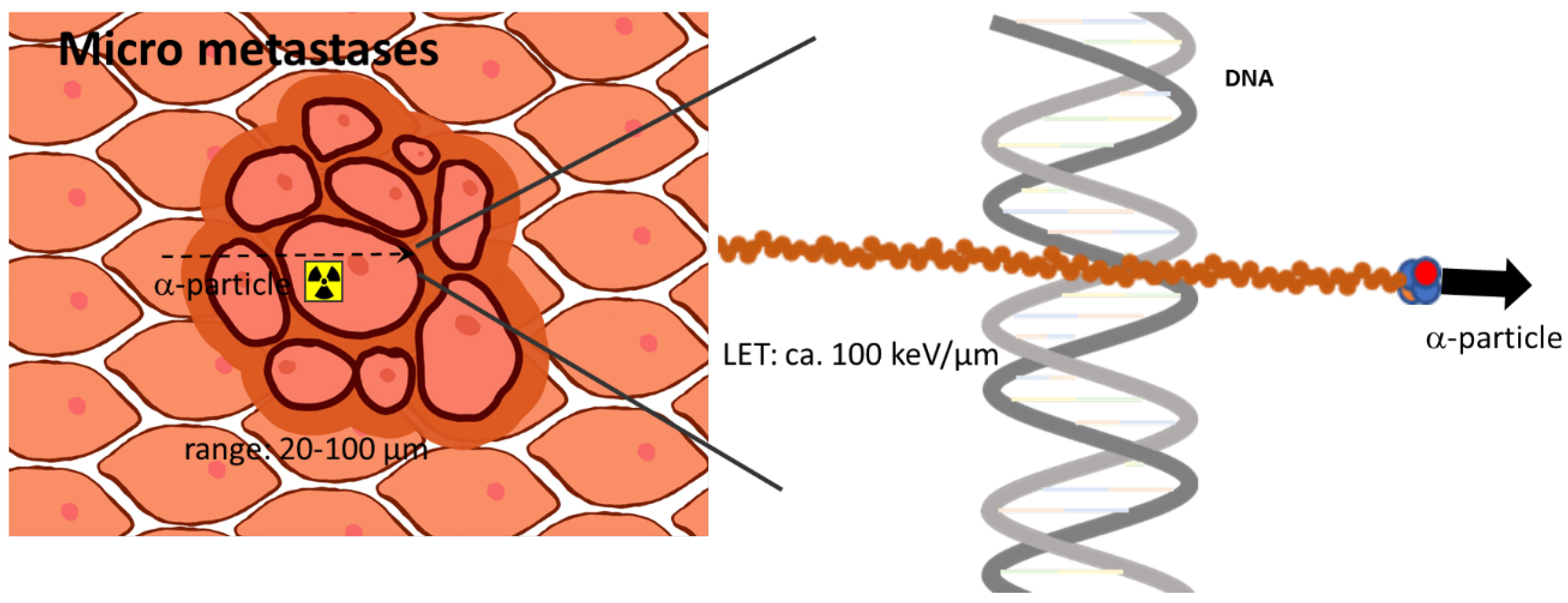 Pharmaceuticals 17 00076 g001