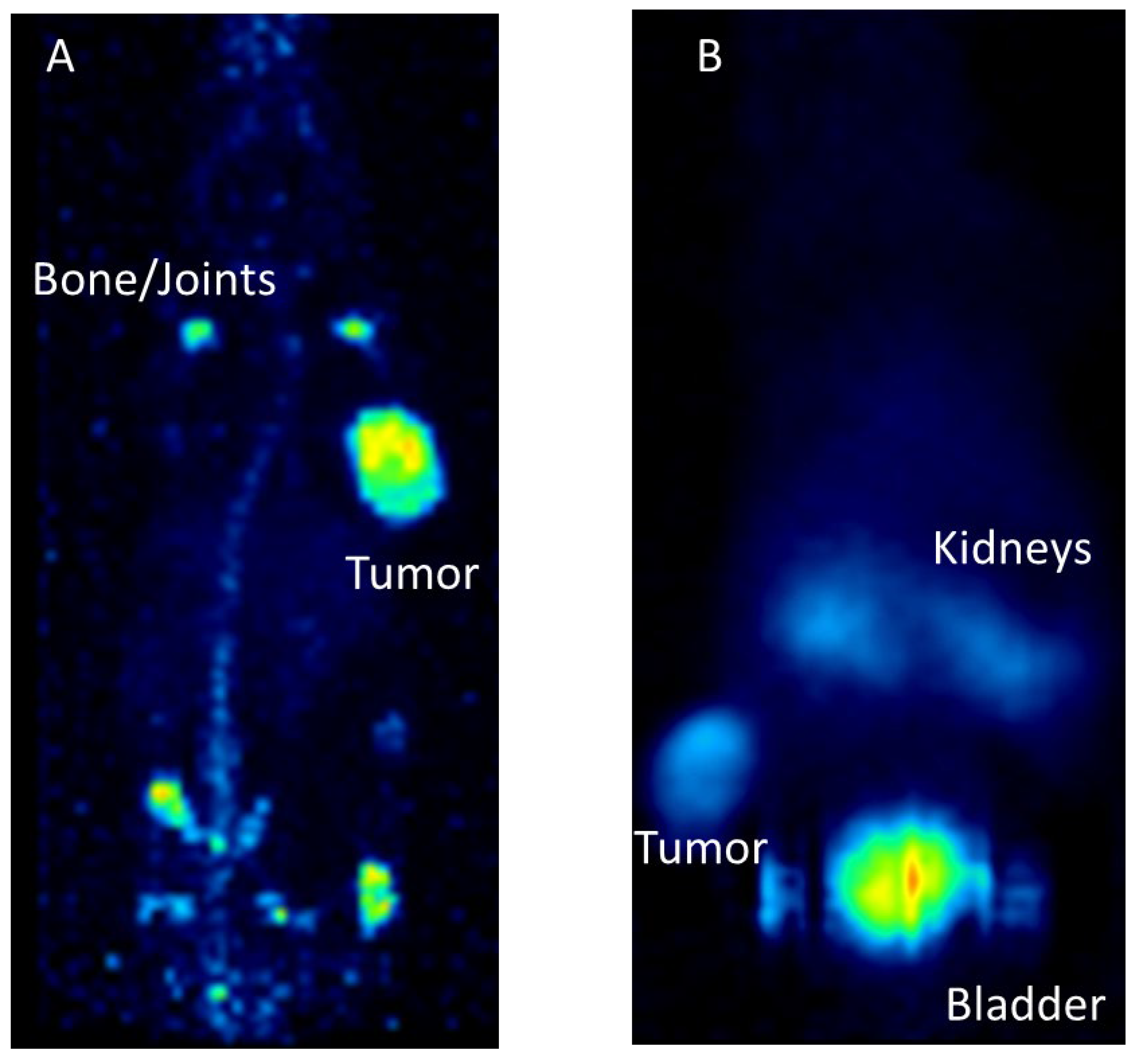 Pharmaceuticals 17 00076 g005