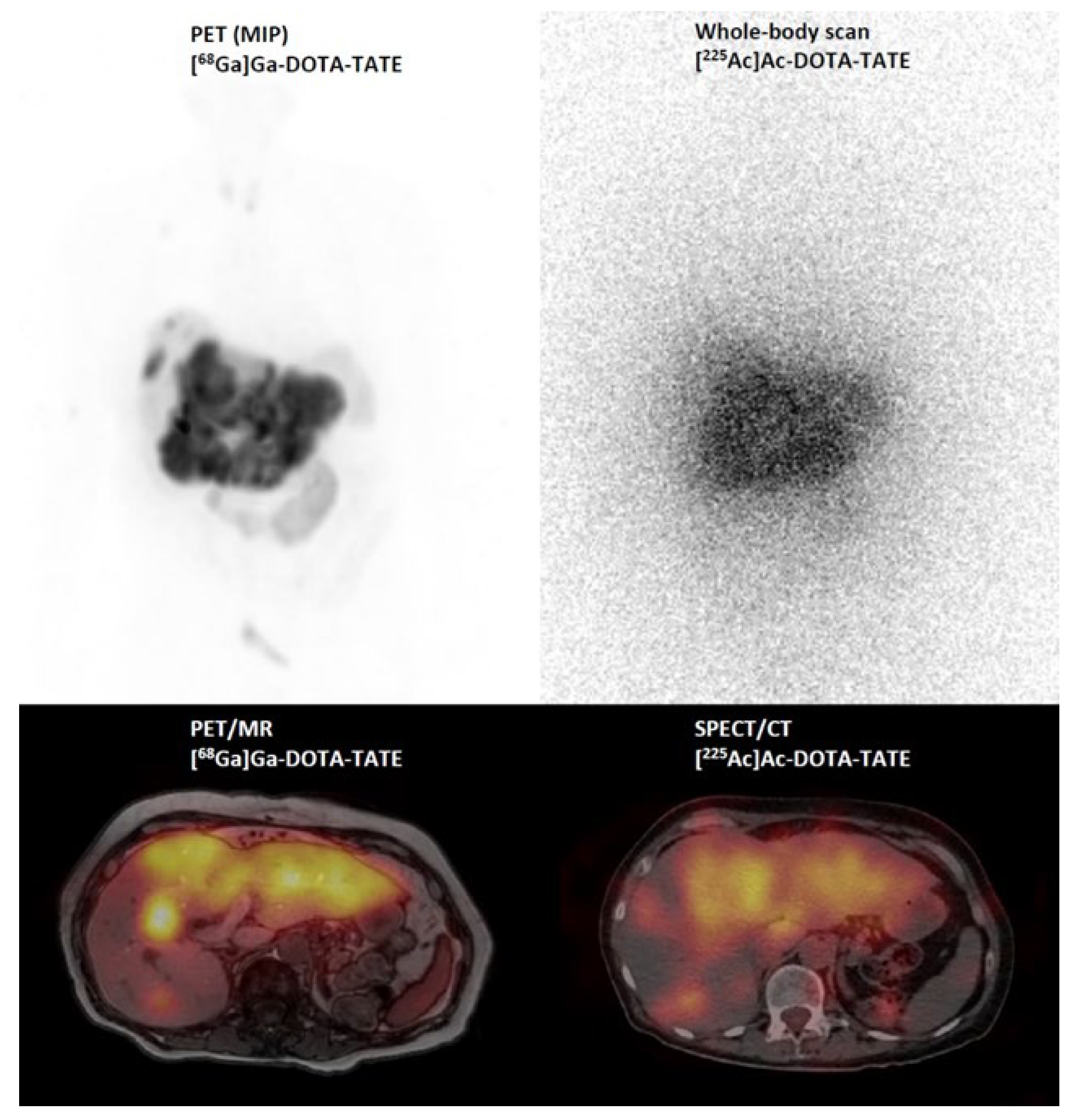 Pharmaceuticals 17 00076 g006