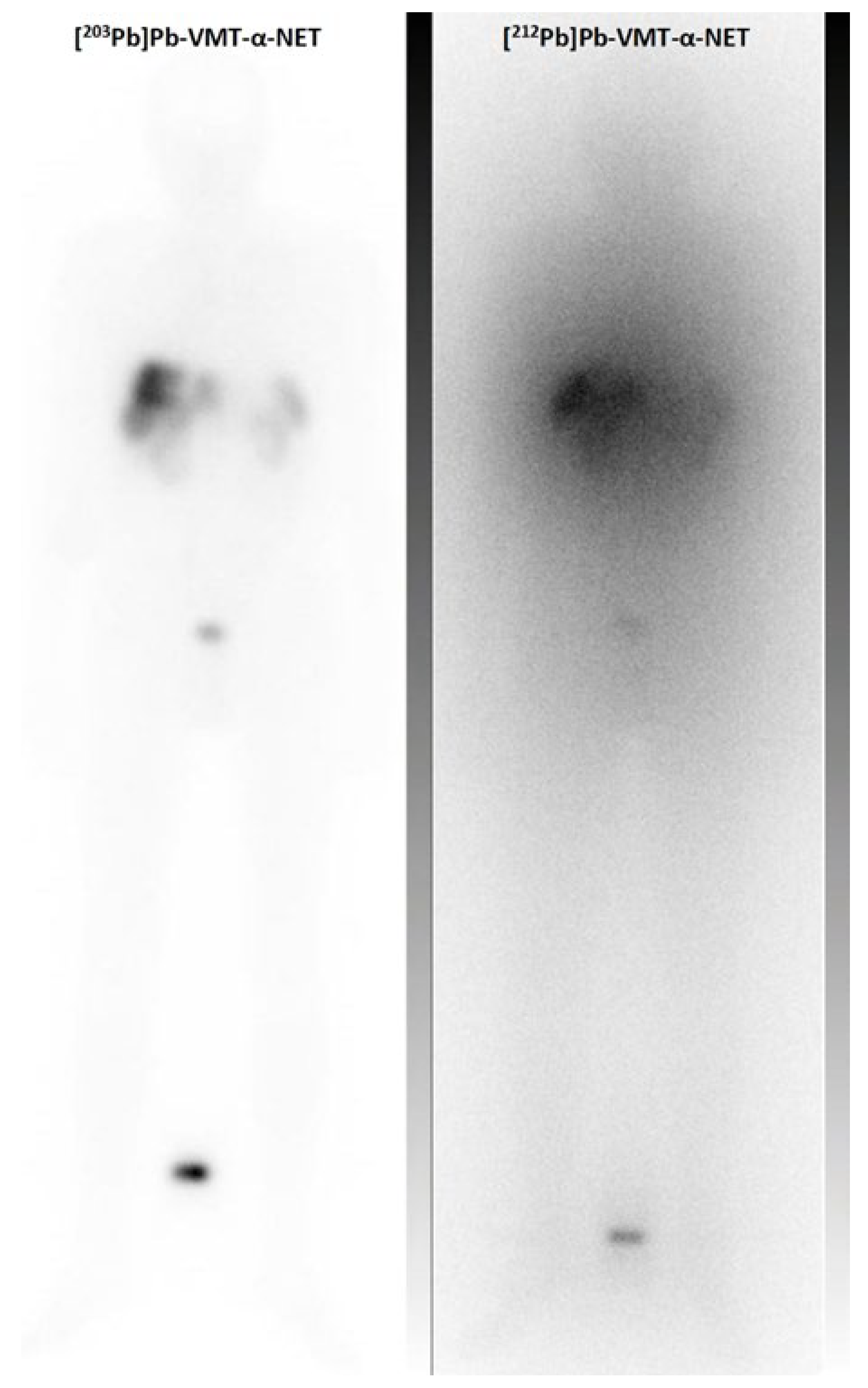 Pharmaceuticals 17 00076 g007