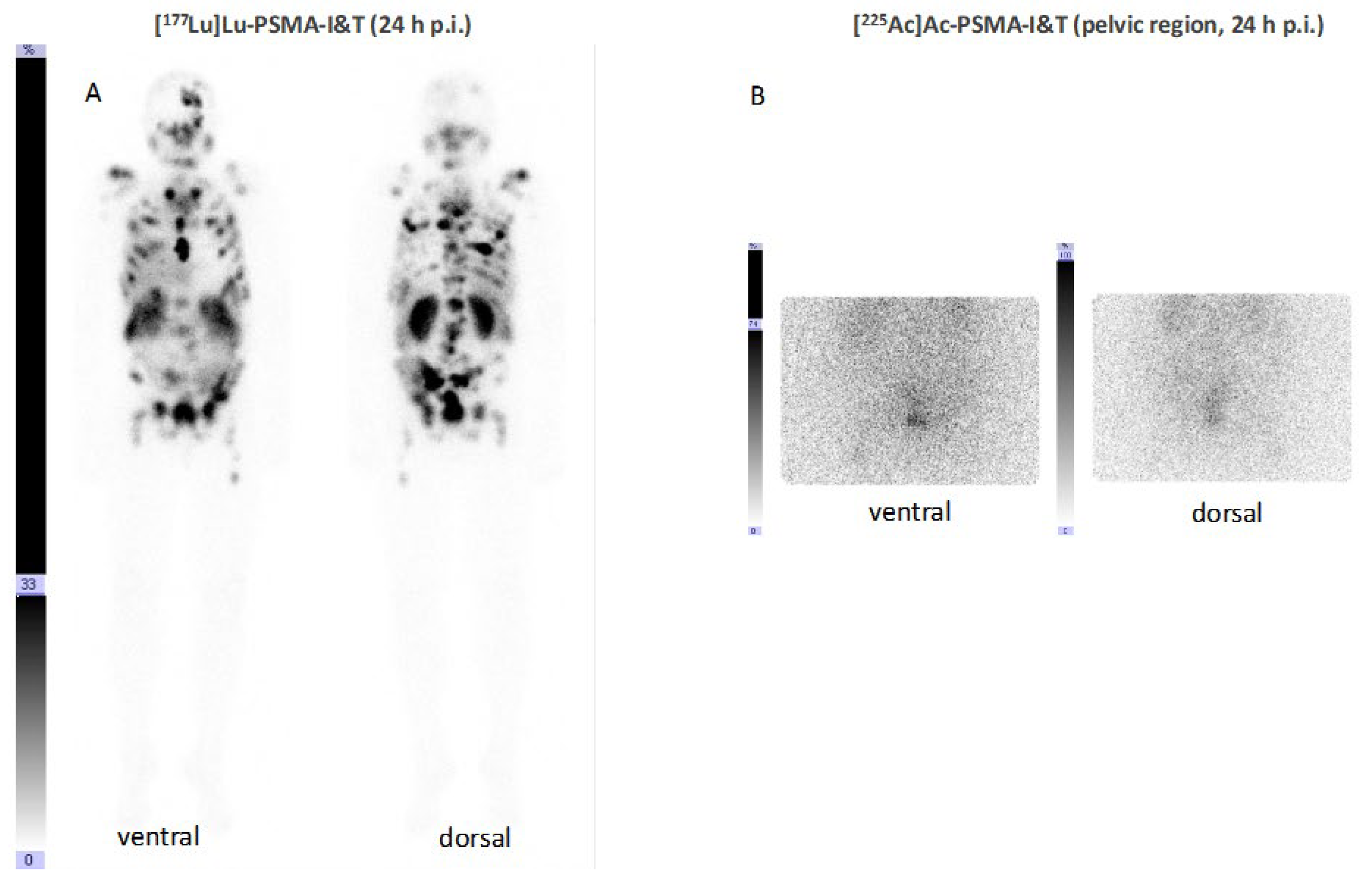 Pharmaceuticals 17 00076 g008