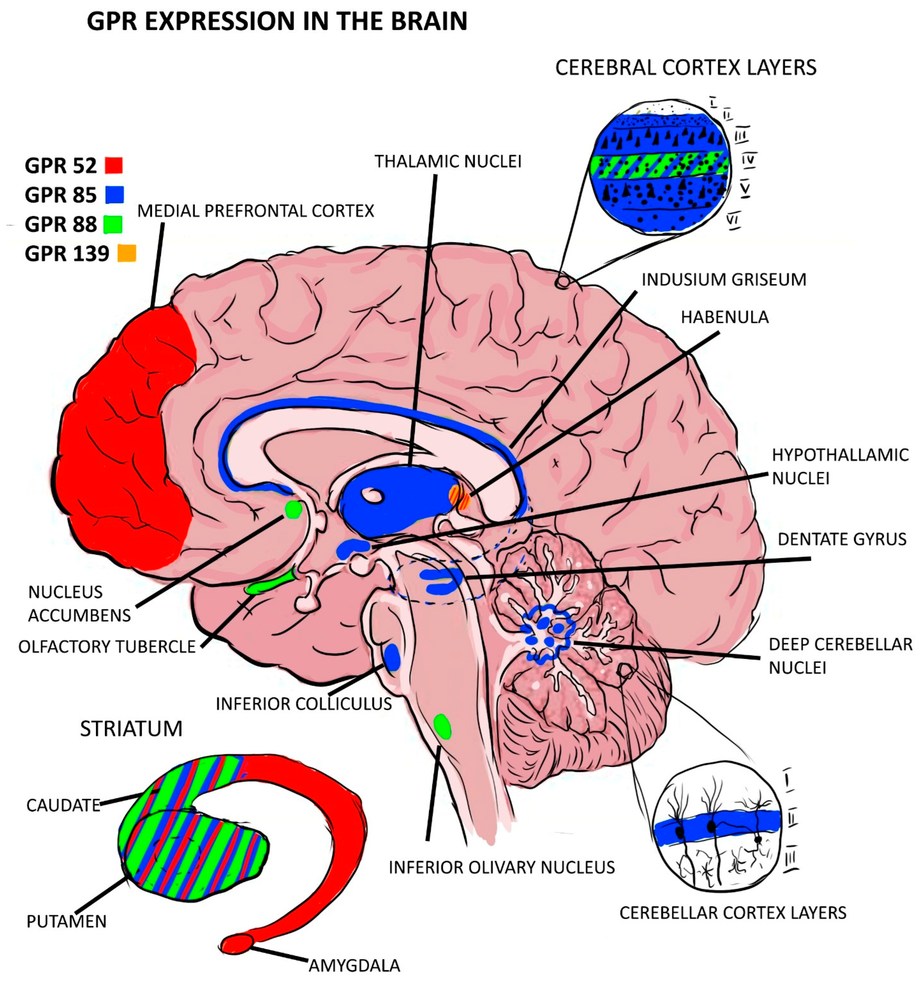 Pharmaceuticals 17 00085 g002