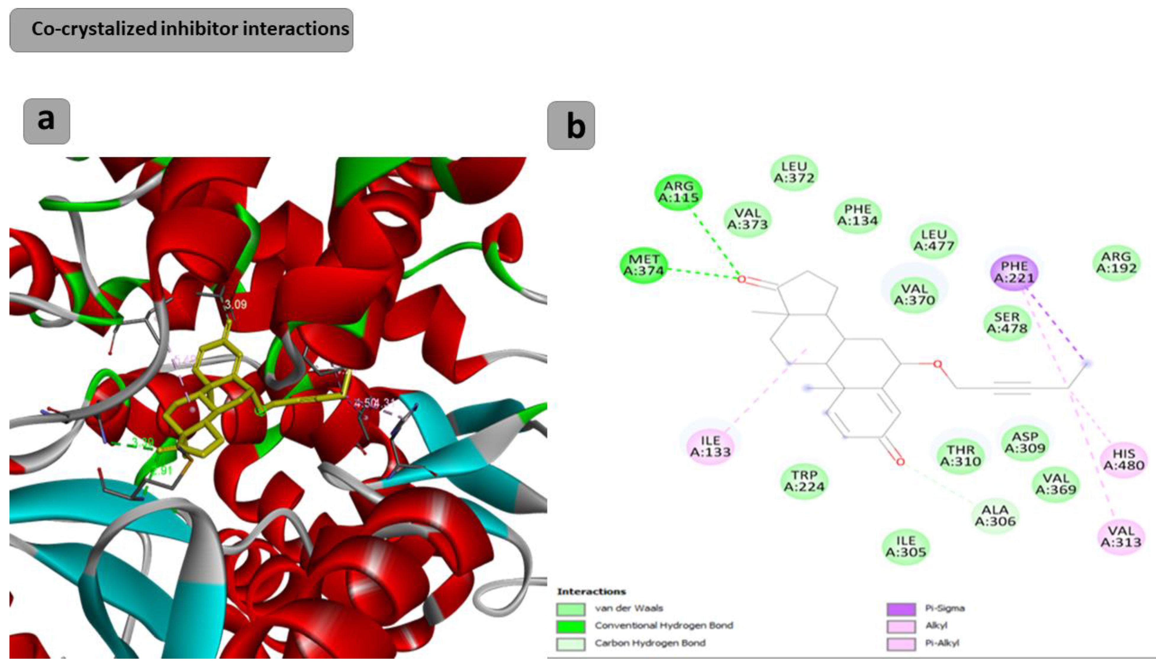 Pharmaceuticals 17 00088 g002
