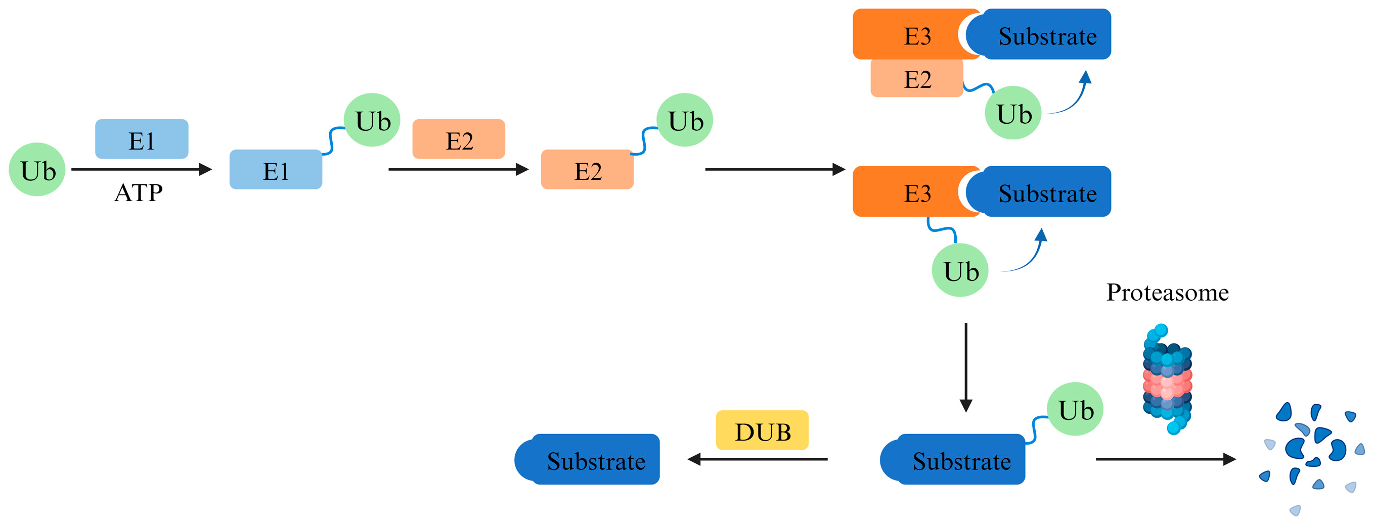 Pharmaceuticals 17 00100 g001