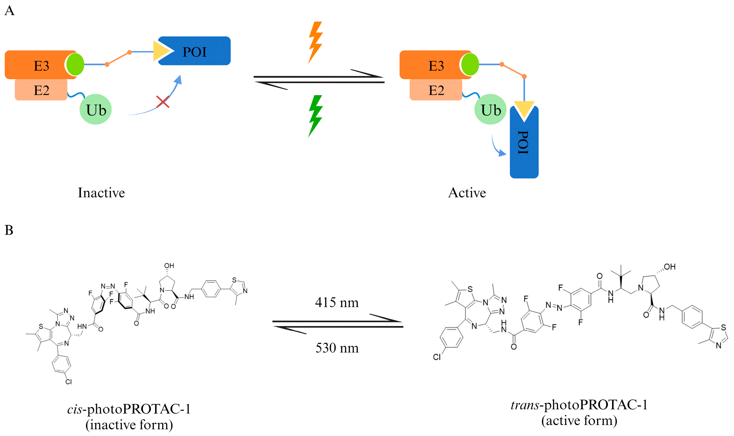 Pharmaceuticals 17 00100 g005