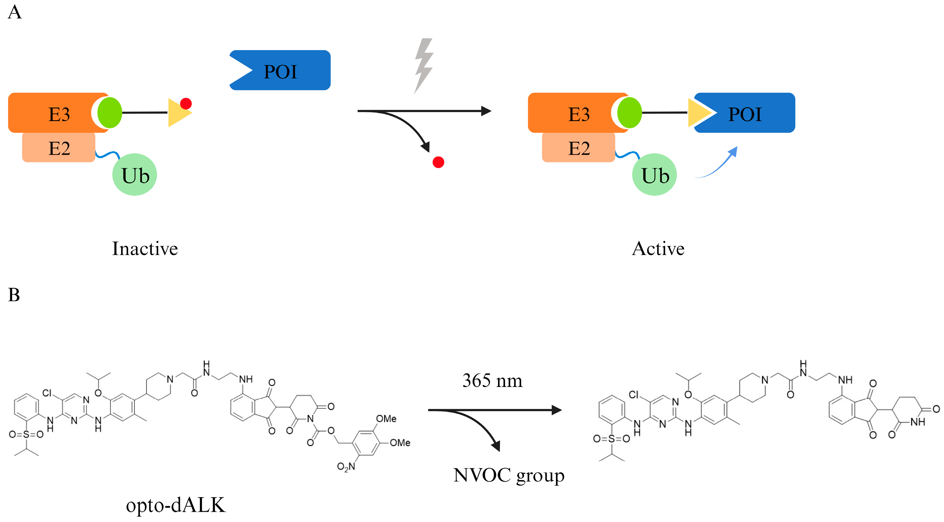 Pharmaceuticals 17 00100 g006