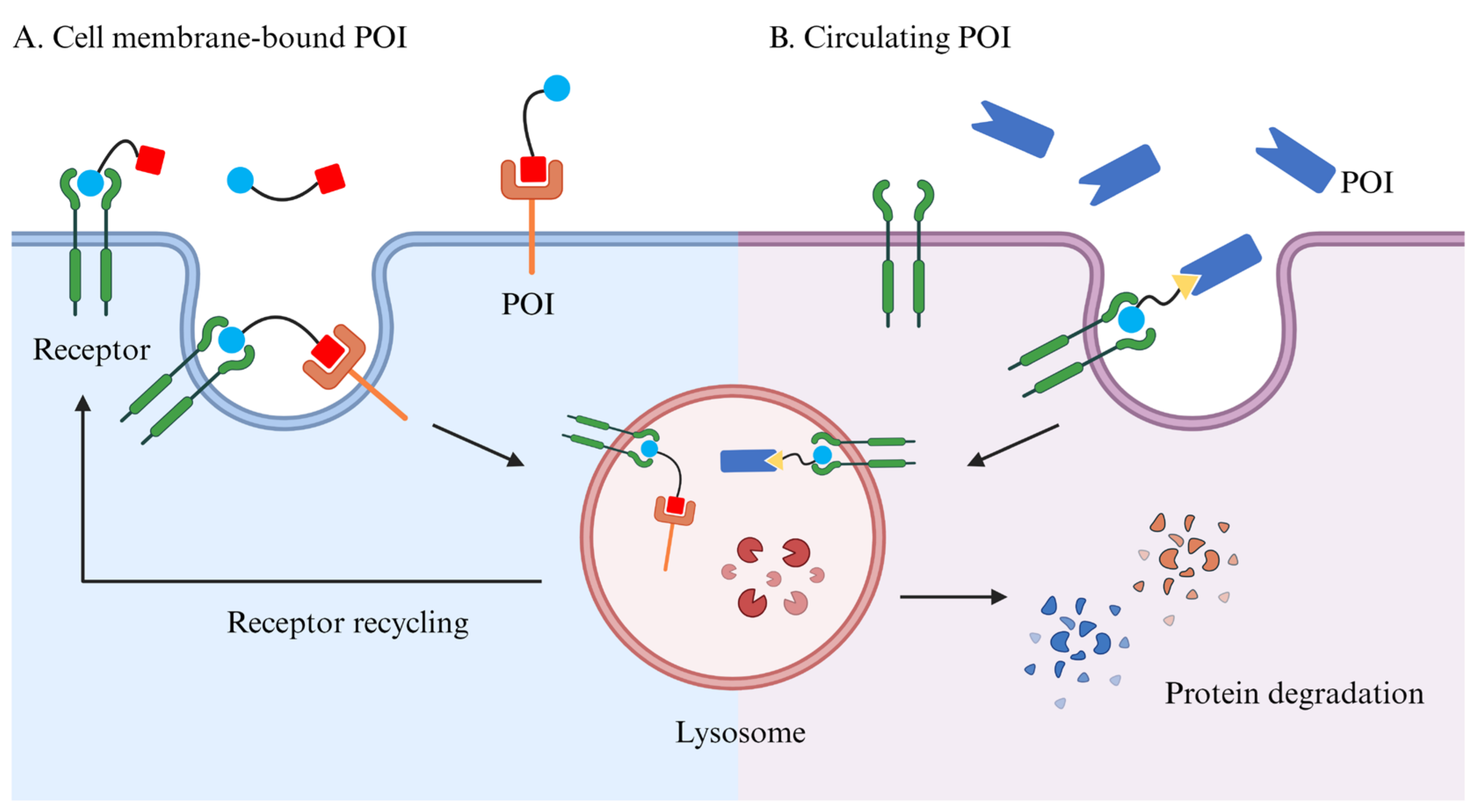 Pharmaceuticals 17 00100 g009