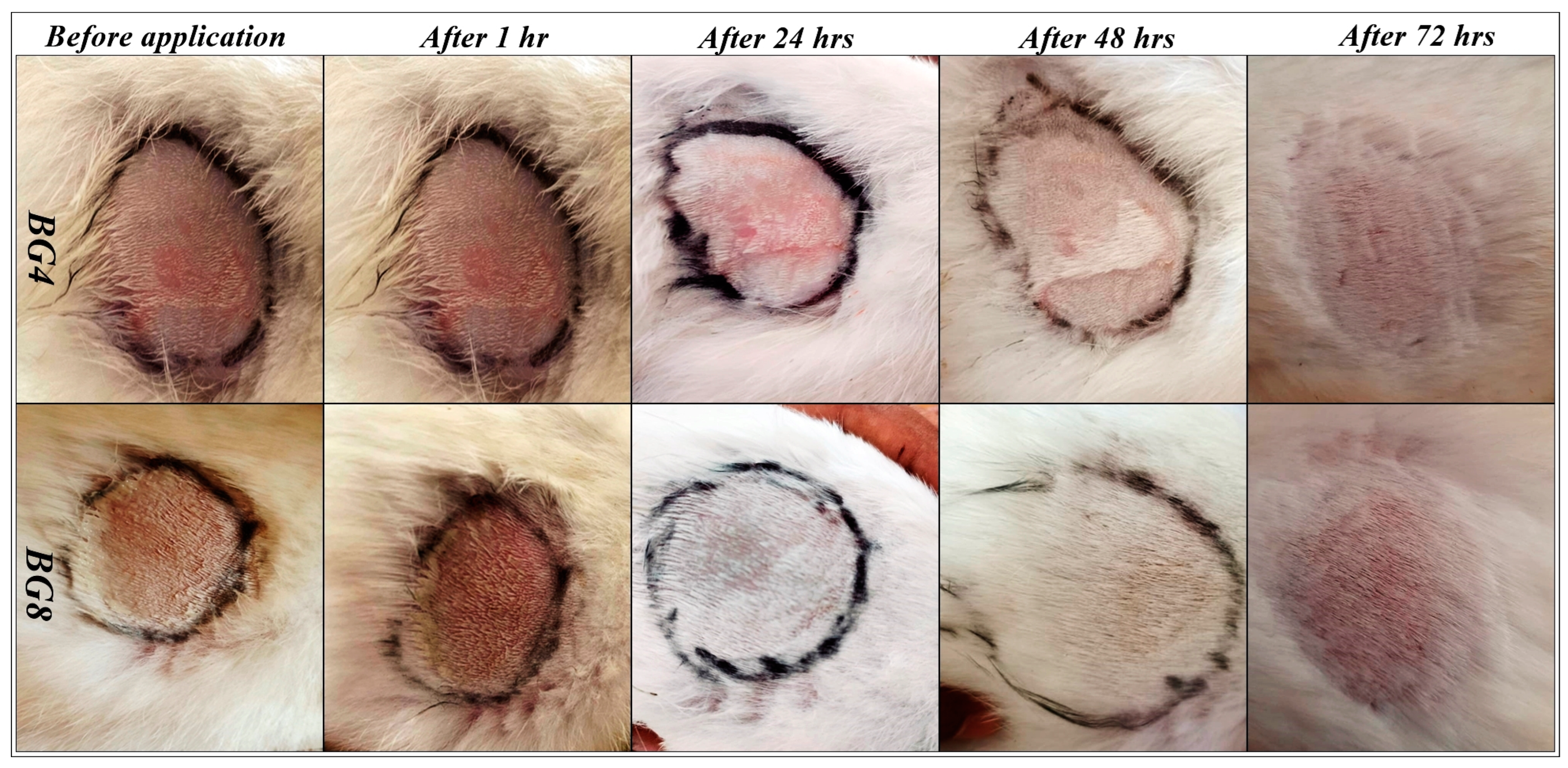 Pharmaceuticals 17 00102 g003