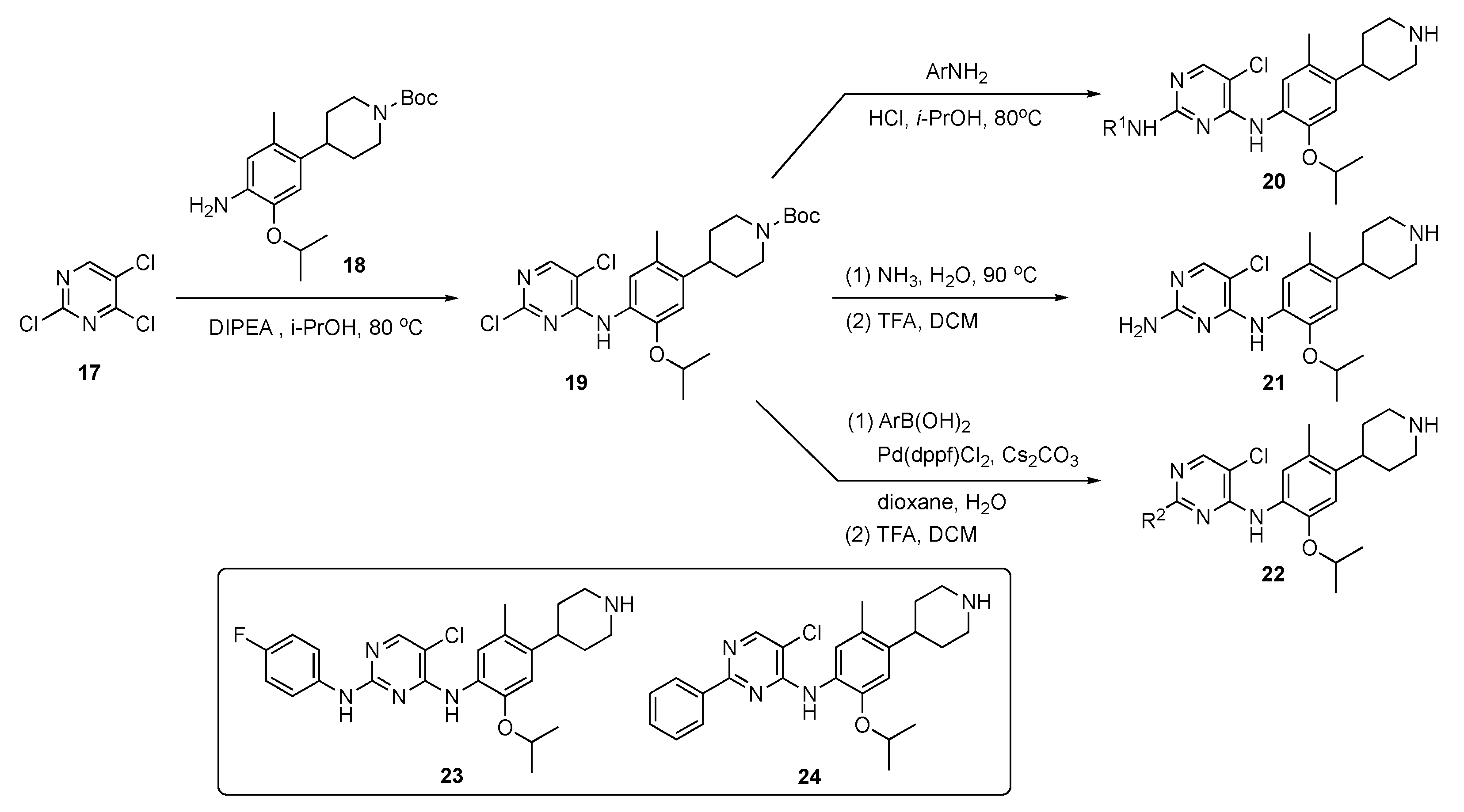 Pharmaceuticals 17 00104 sch001