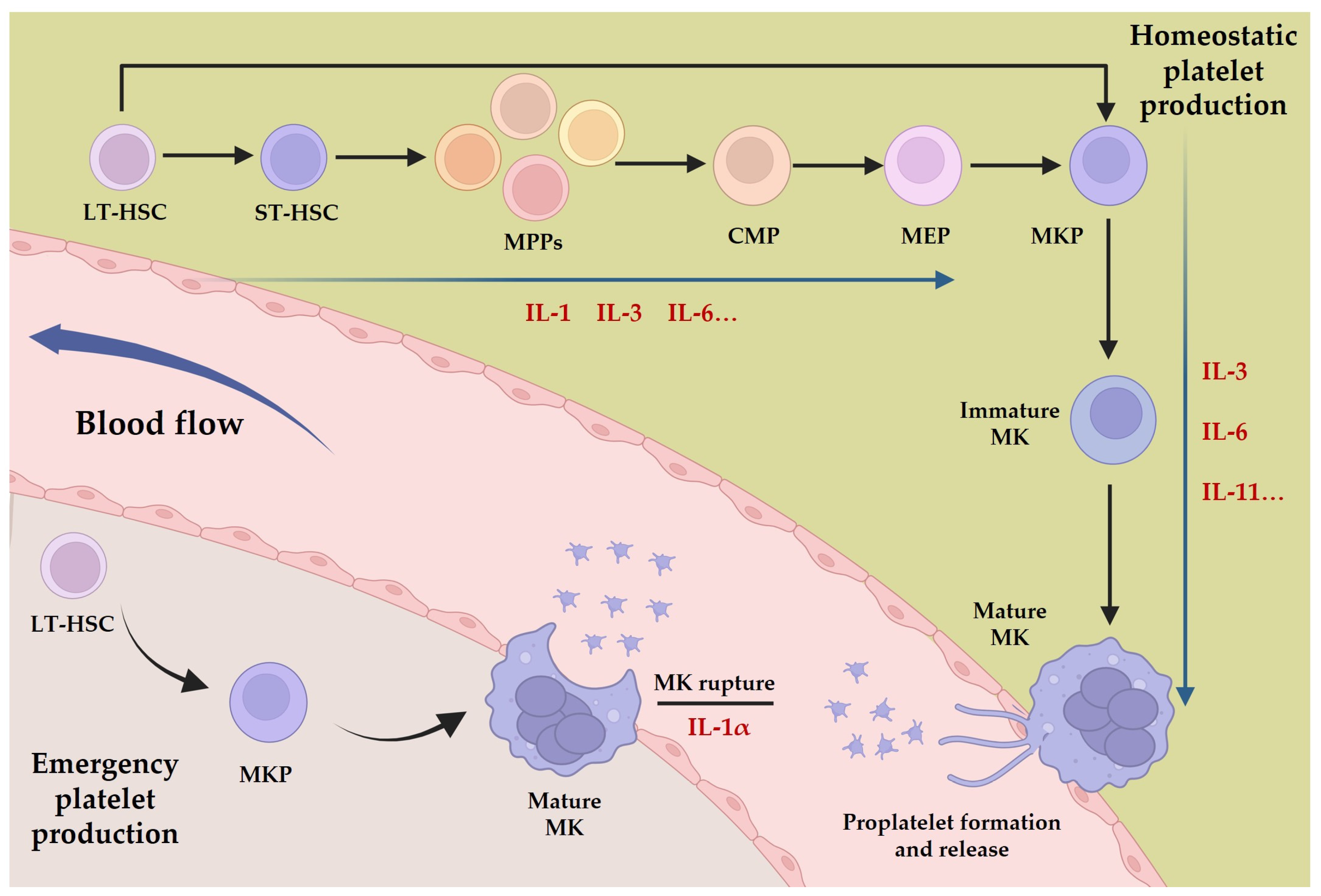Pharmaceuticals 17 00109 g001