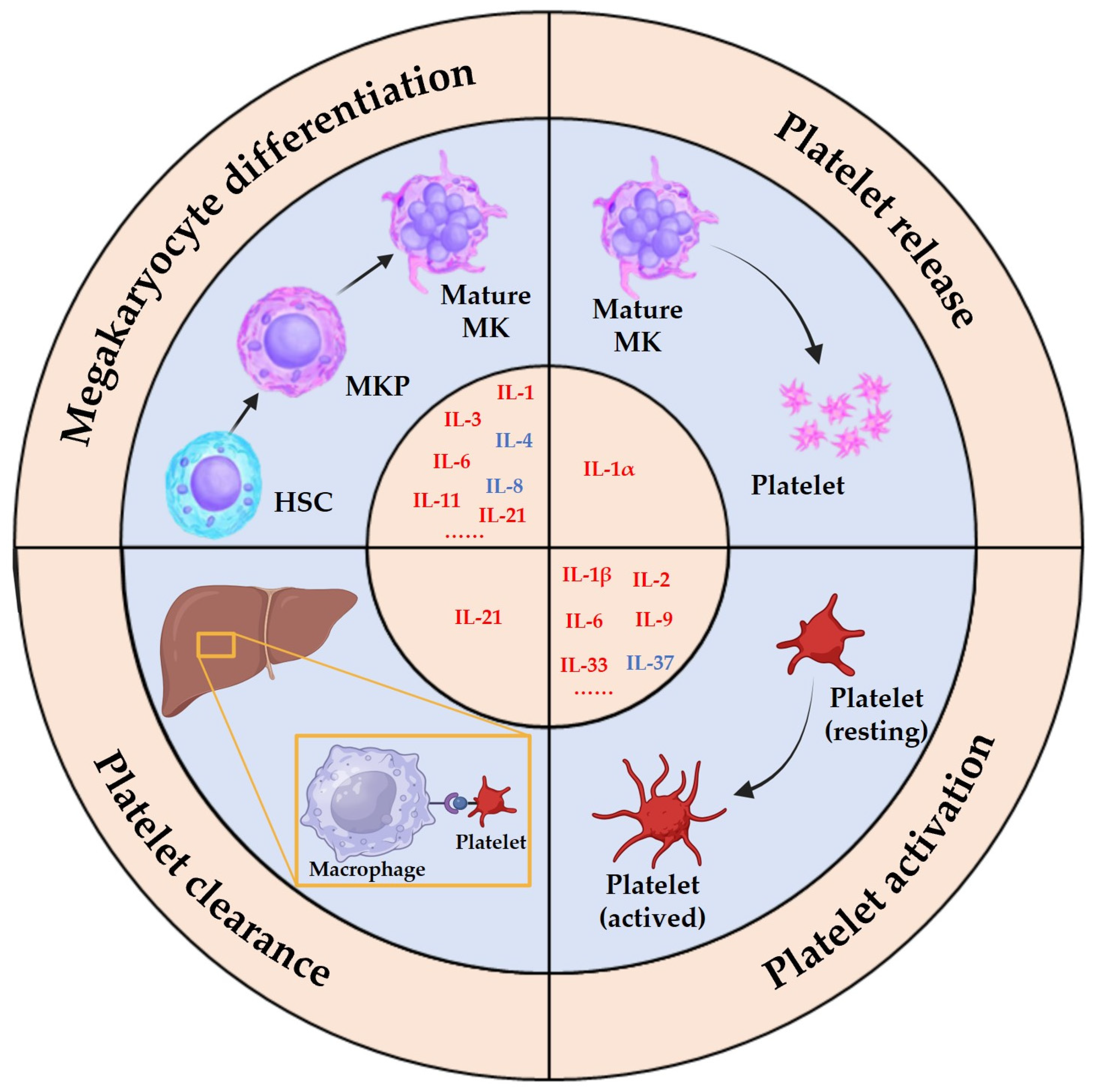 Pharmaceuticals 17 00109 g002