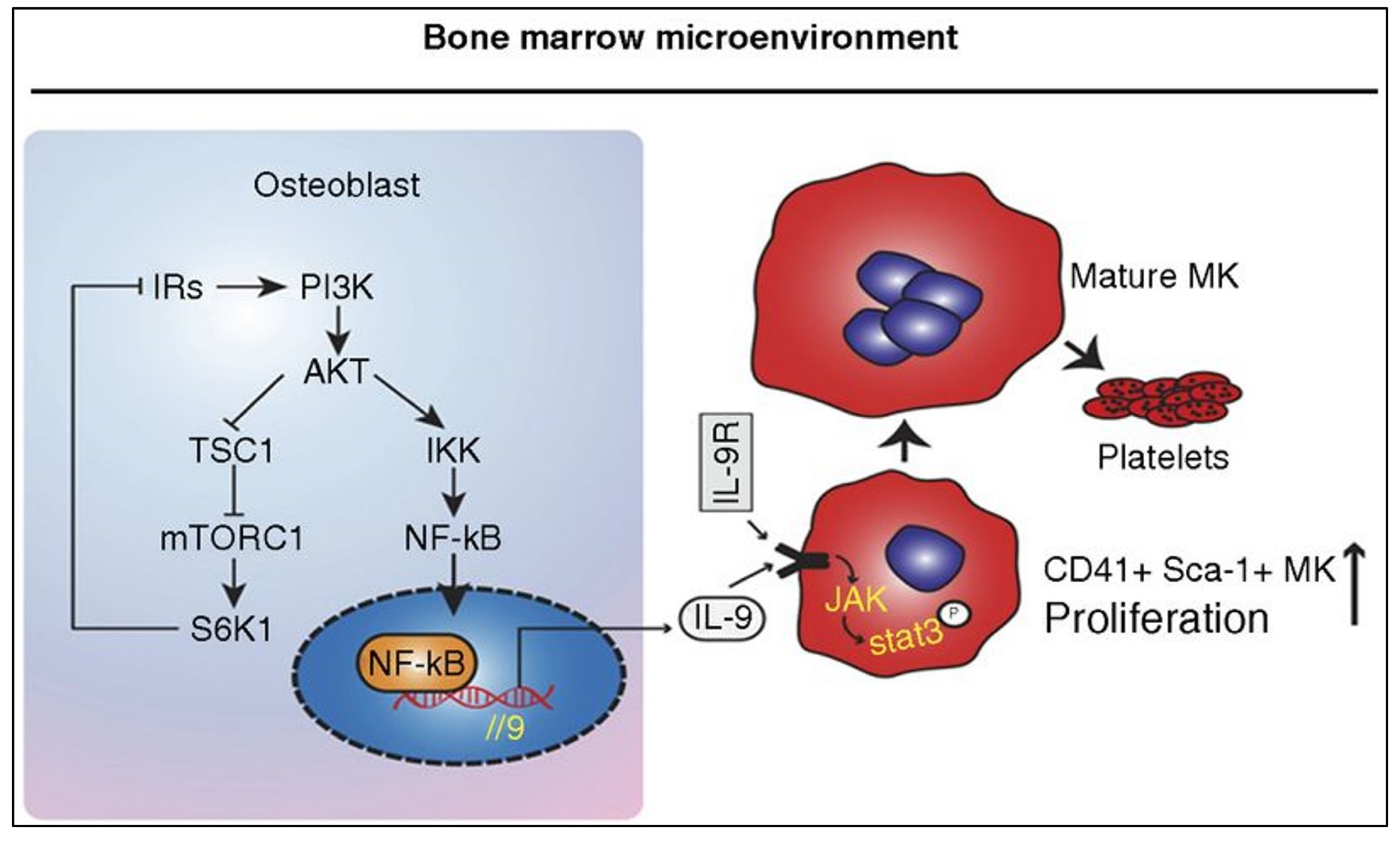 Pharmaceuticals 17 00109 g003