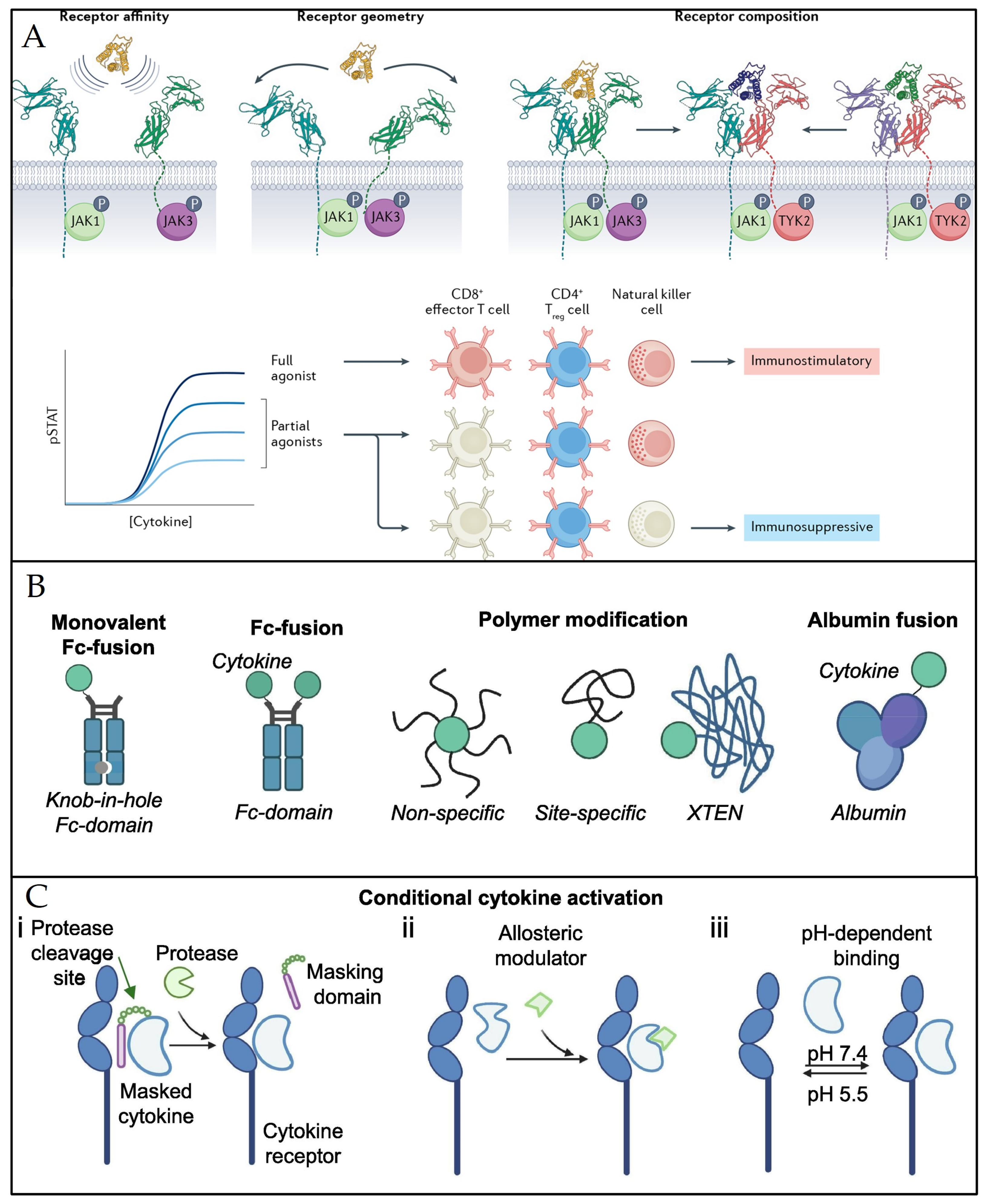 Pharmaceuticals 17 00109 g006