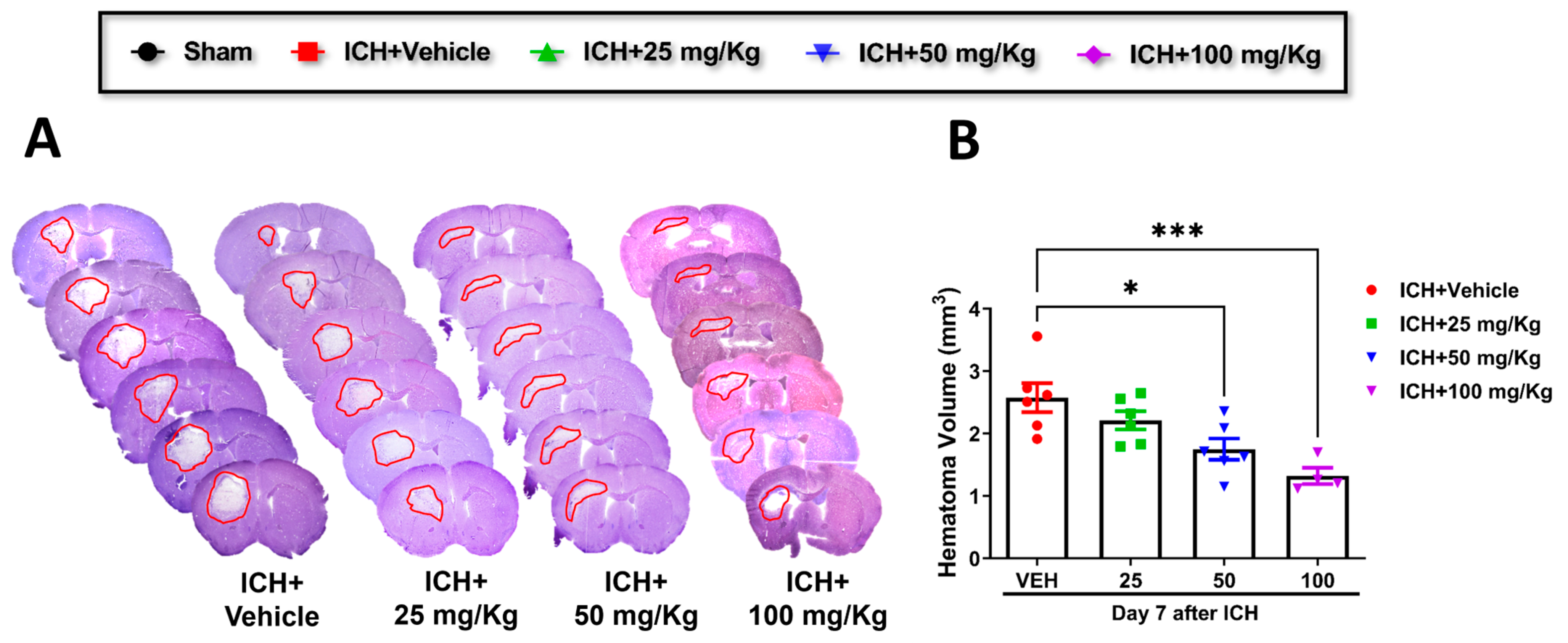 Pharmaceuticals 17 00114 g002