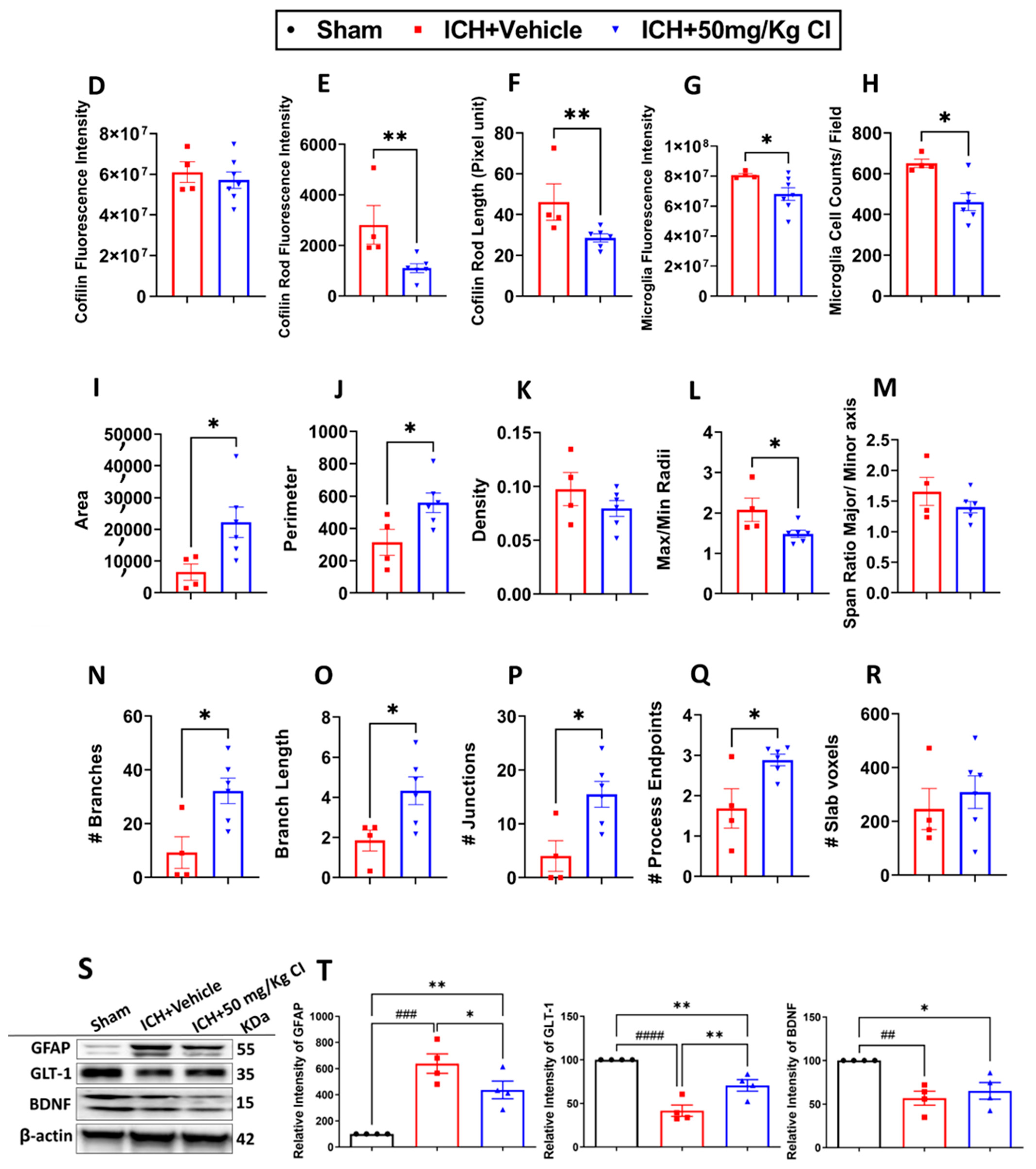 Pharmaceuticals 17 00114 g003b