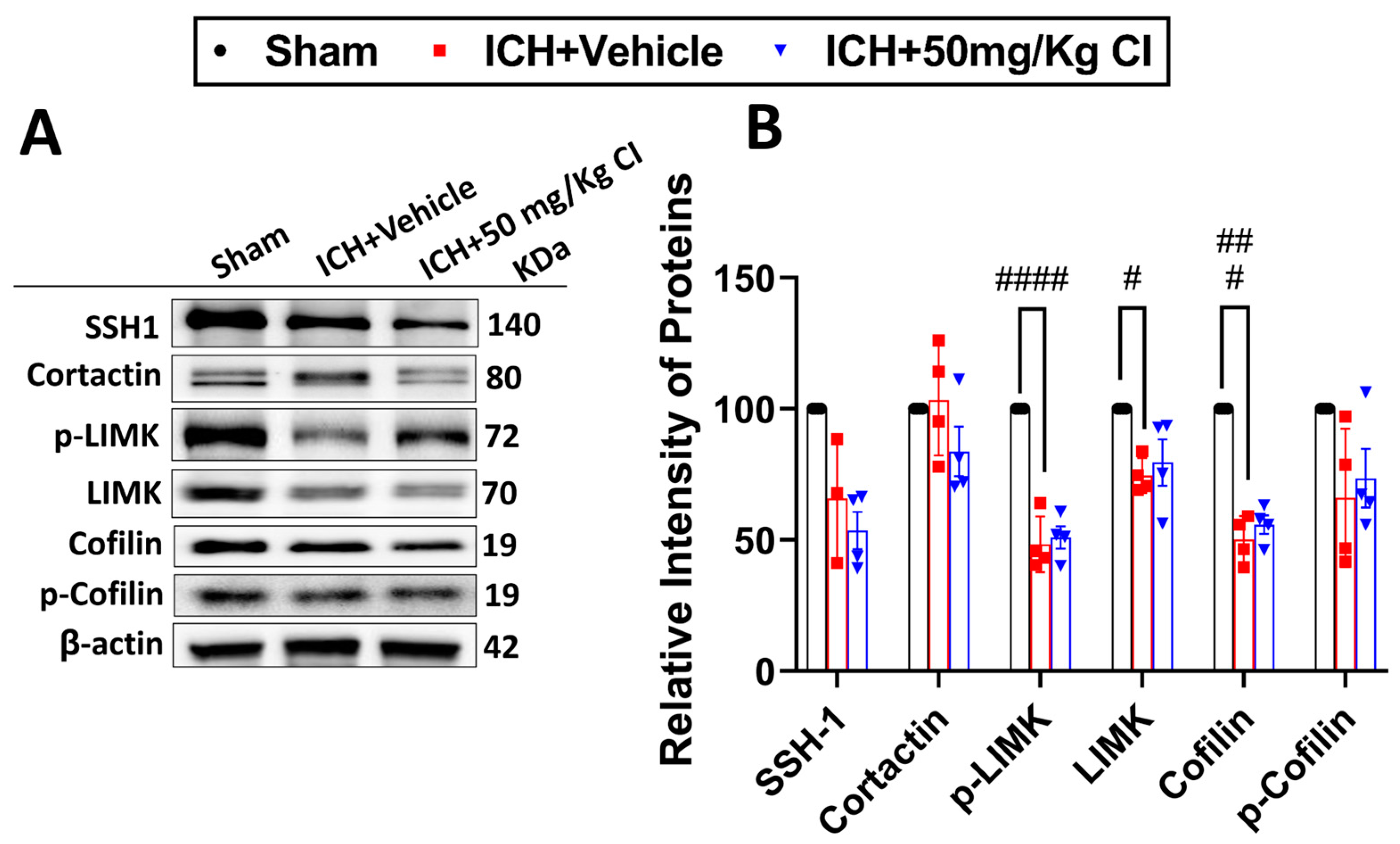 Pharmaceuticals 17 00114 g004