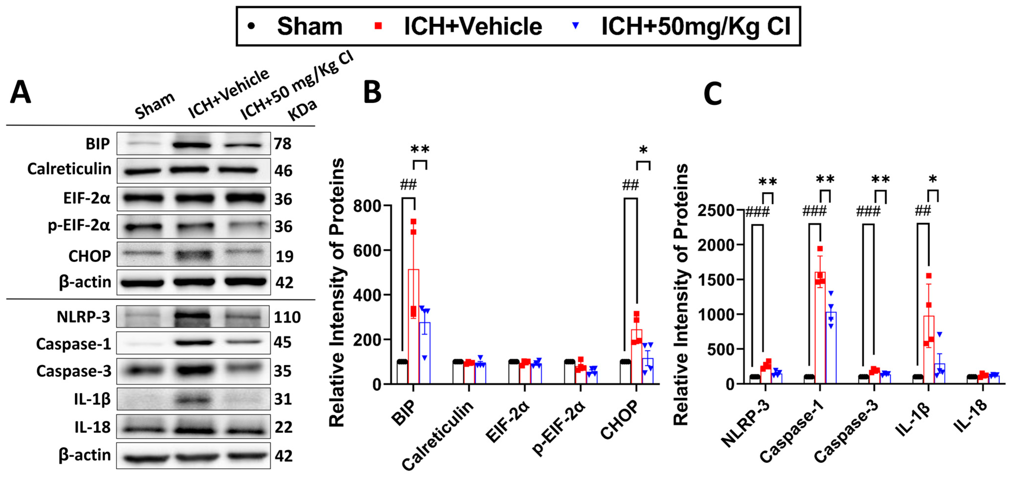 Pharmaceuticals 17 00114 g005