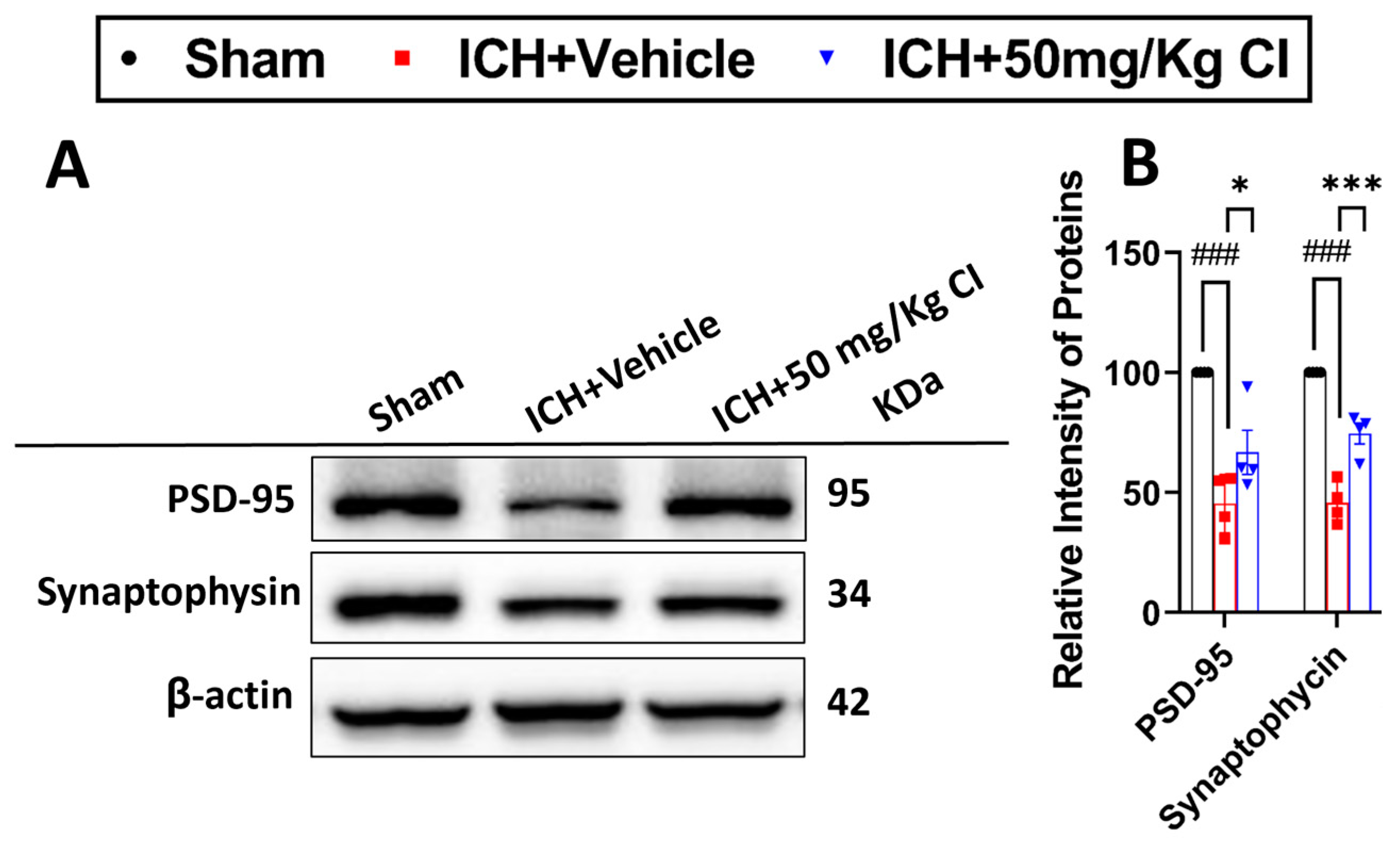 Pharmaceuticals 17 00114 g006
