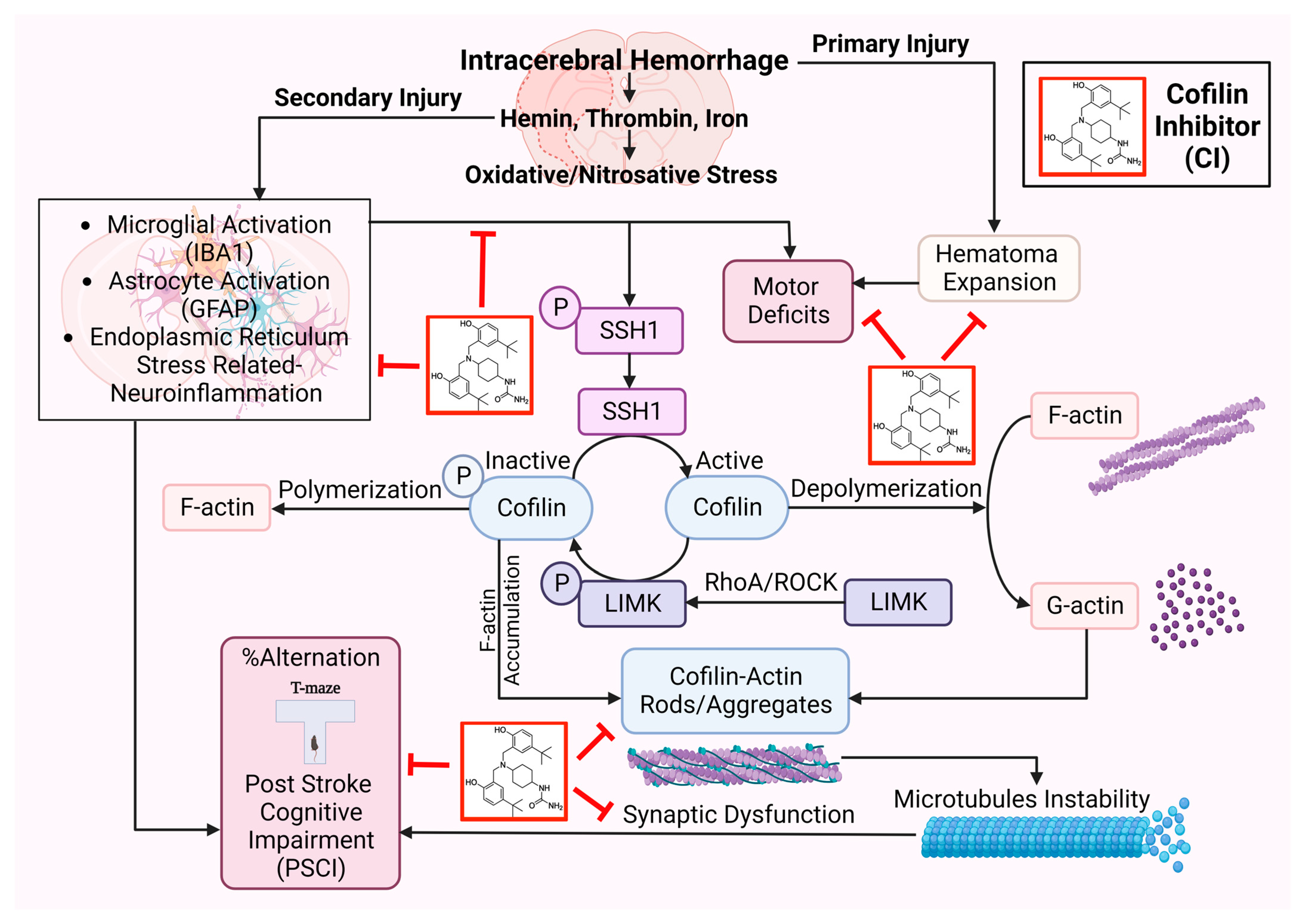 Pharmaceuticals 17 00114 g007