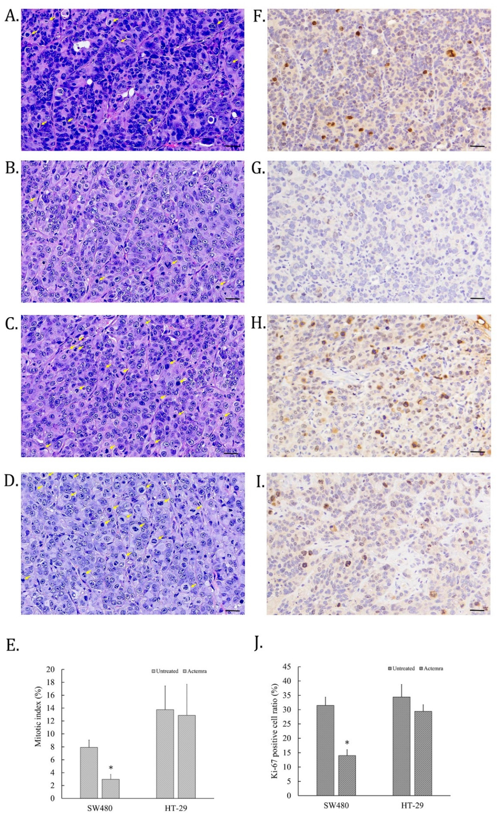 Pharmaceuticals 17 00127 g003