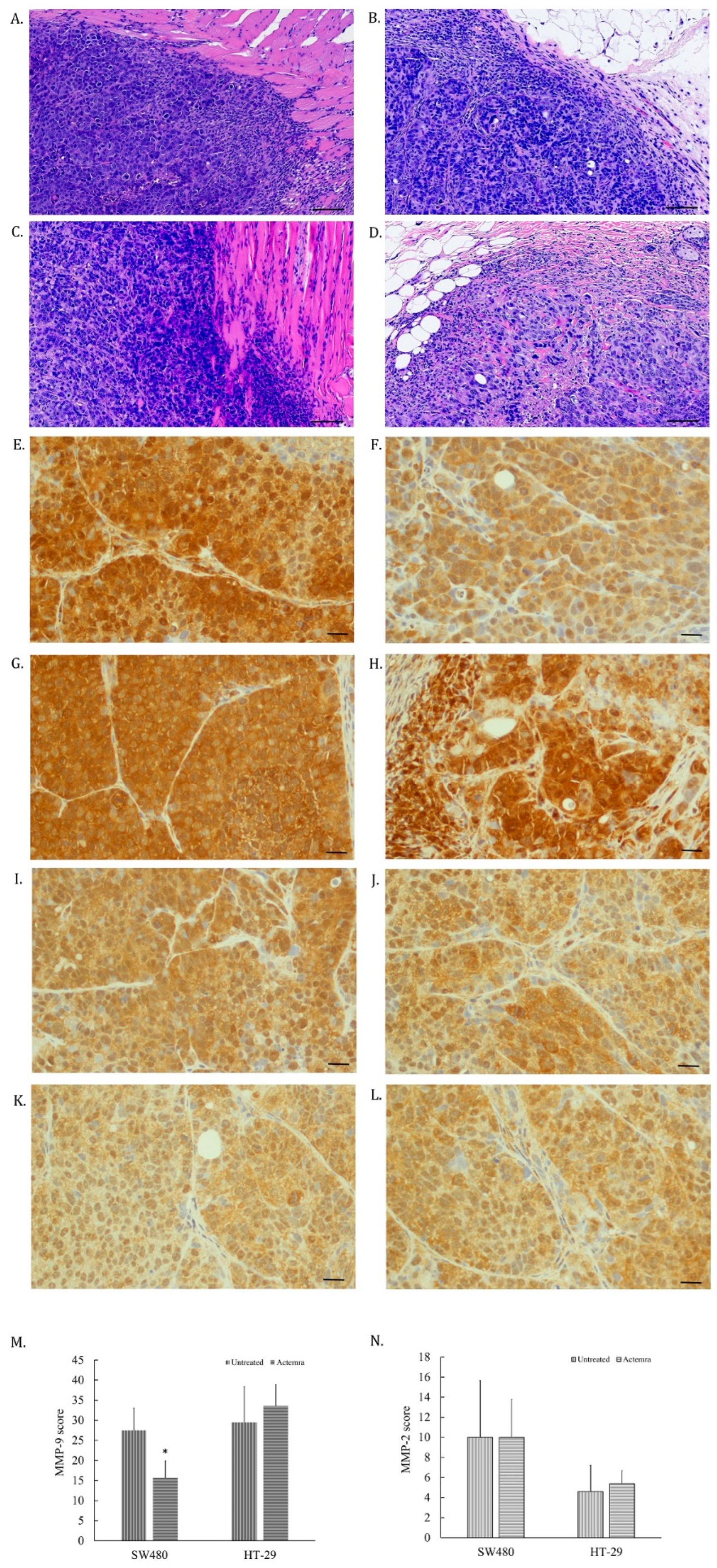 Pharmaceuticals 17 00127 g004