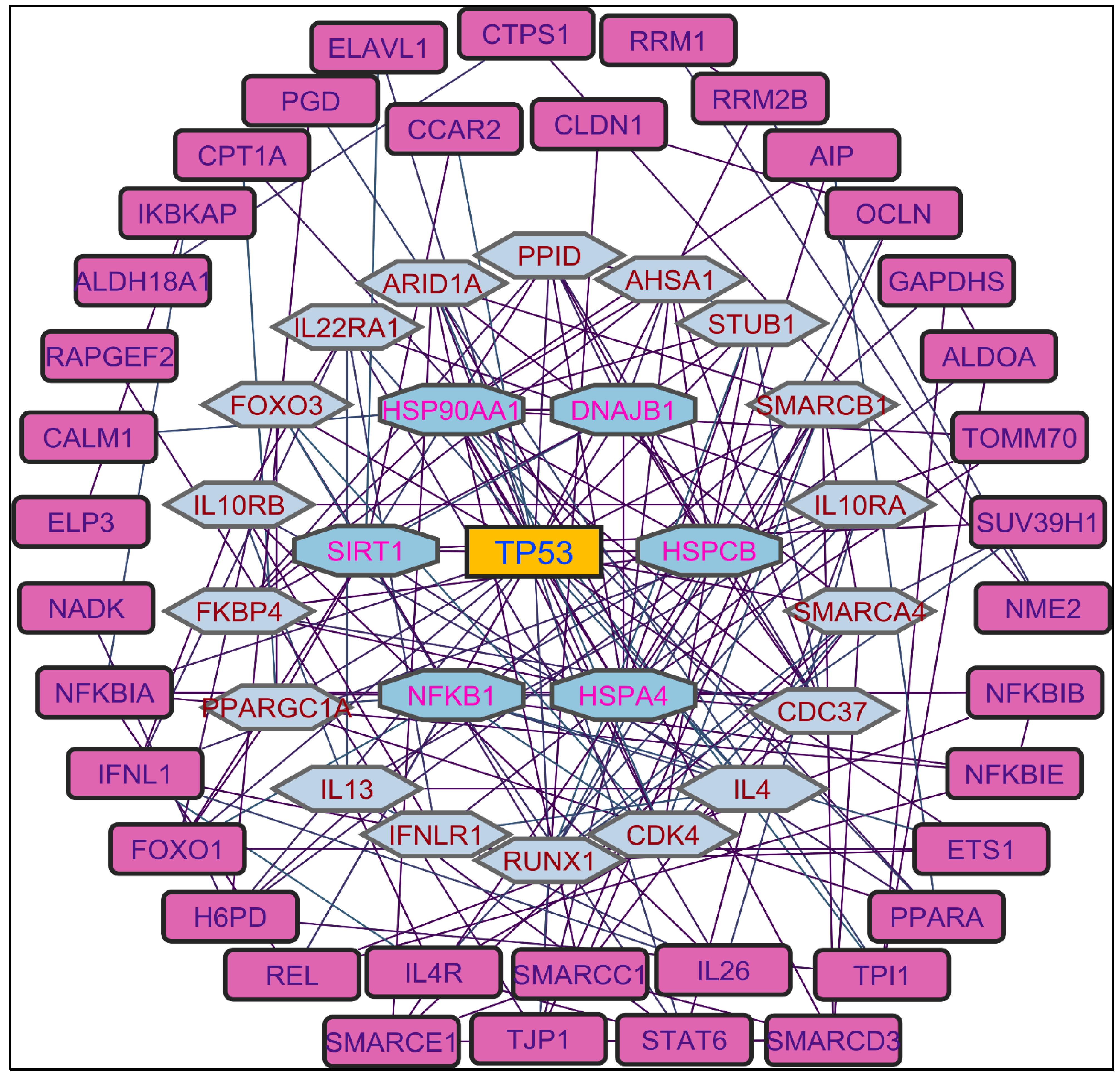 Pharmaceuticals 17 00134 g005