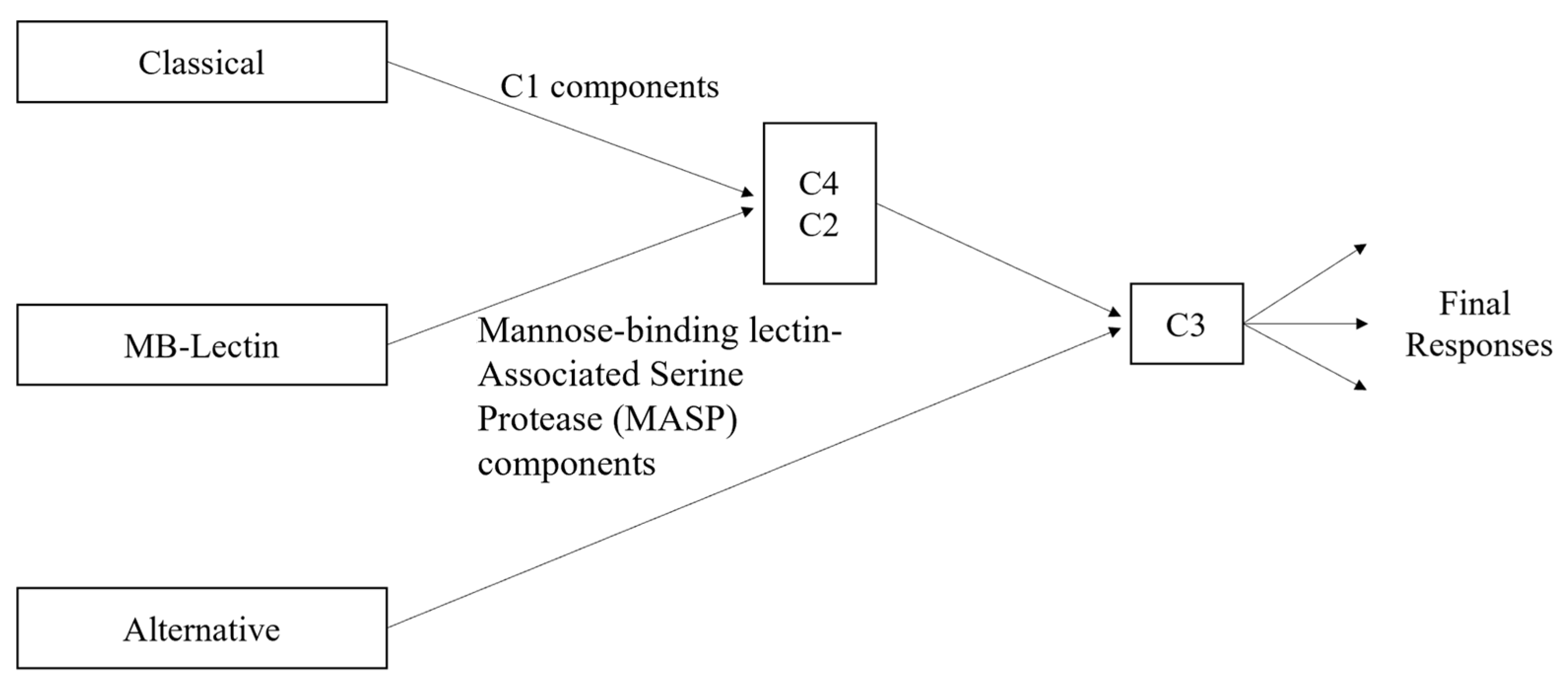 Pharmaceuticals 17 00137 g002
