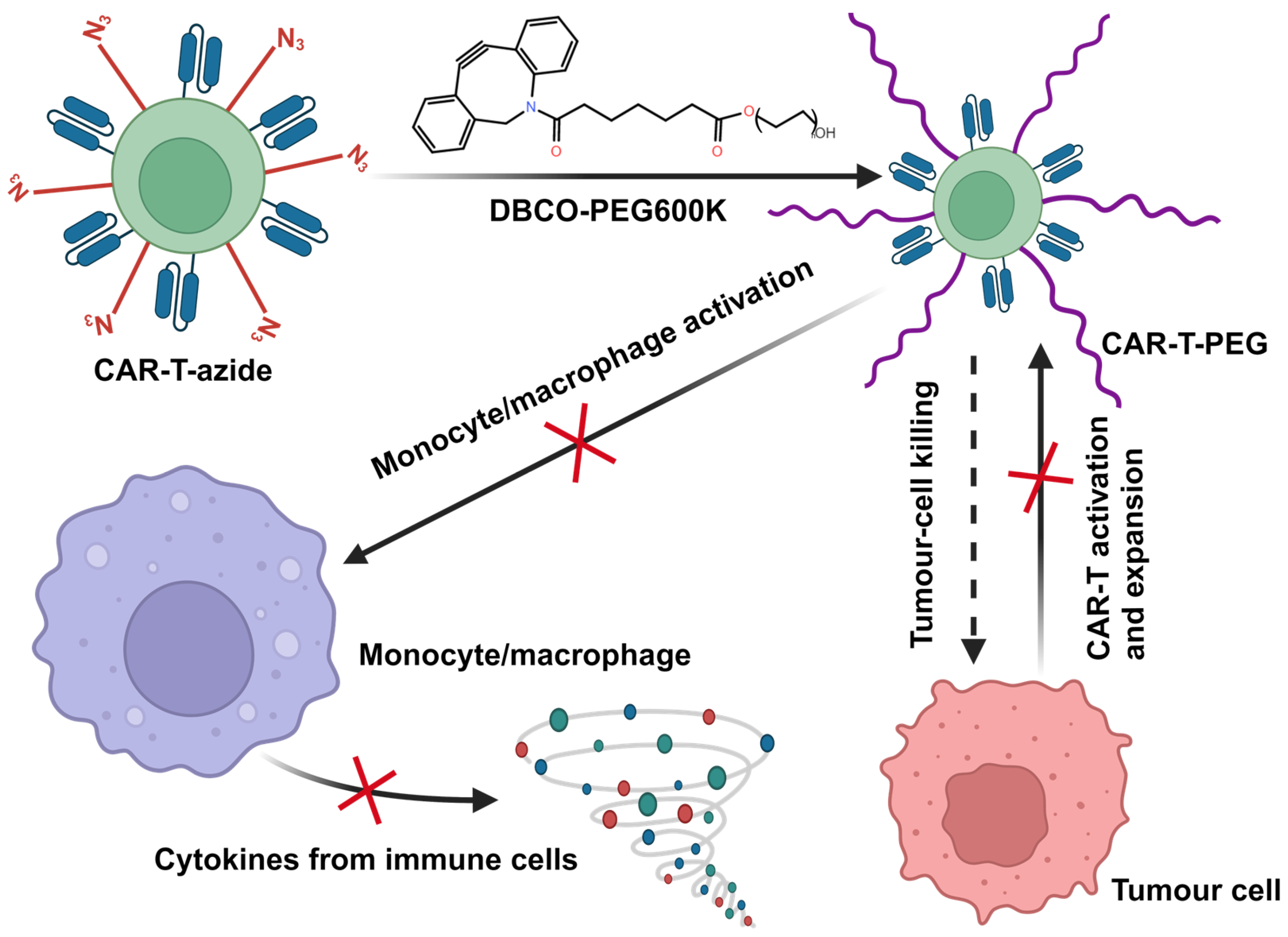 Pharmaceuticals 17 00139 sch005