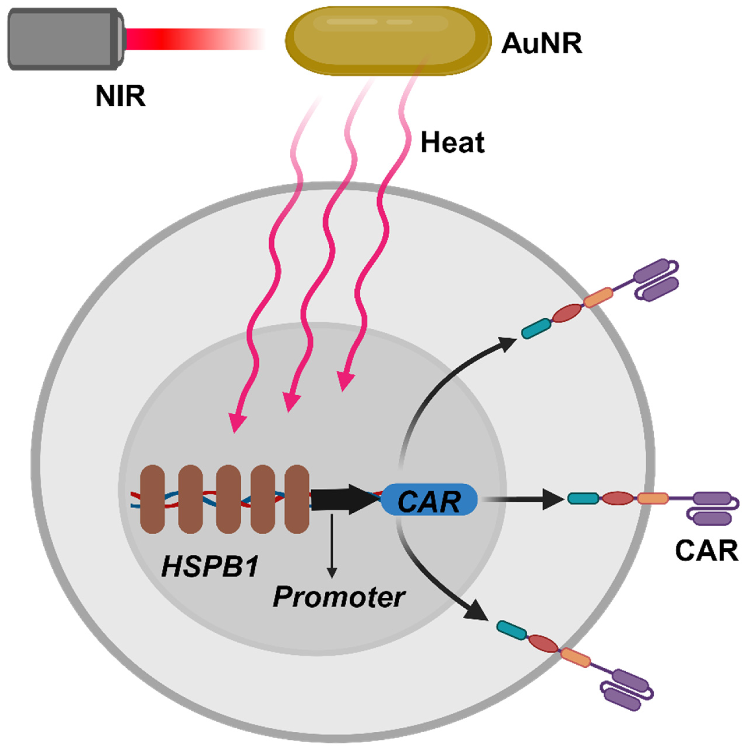 Pharmaceuticals 17 00139 sch006