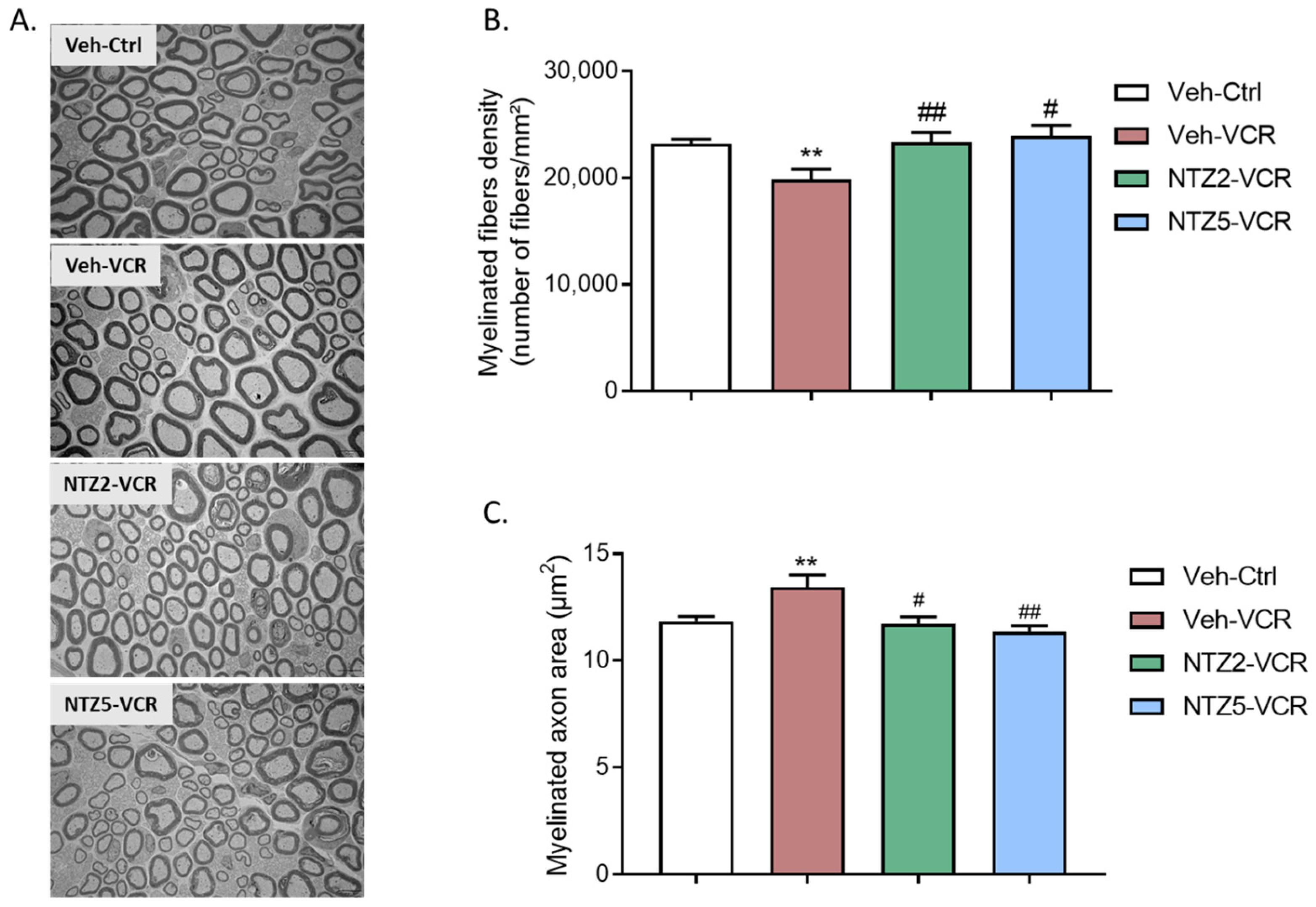 Pharmaceuticals 17 00144 g003