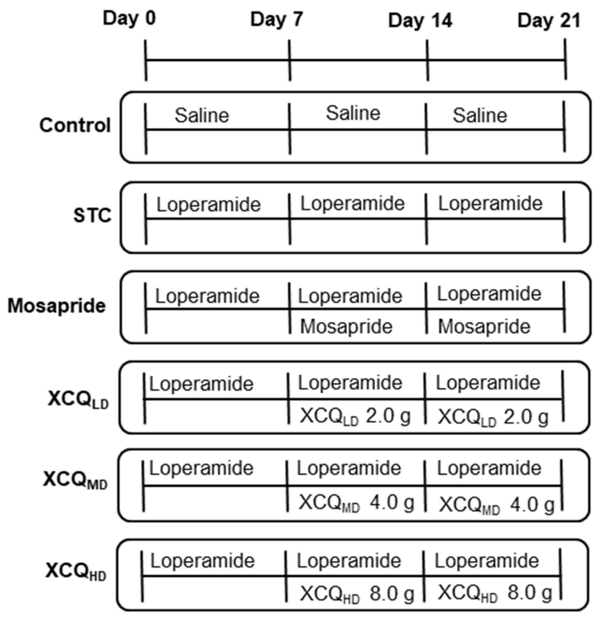 Pharmaceuticals 17 00153 g001
