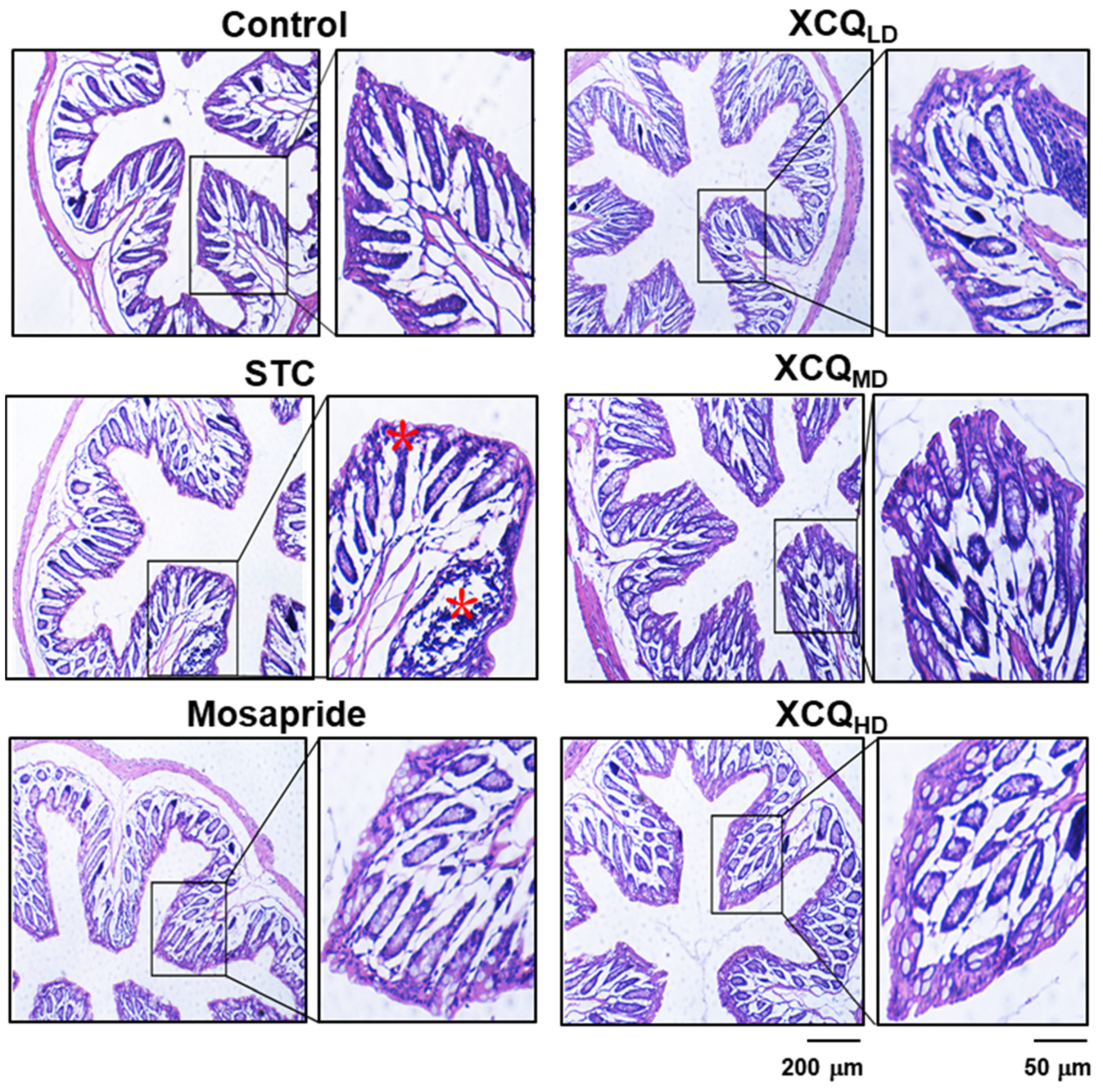Pharmaceuticals 17 00153 g003