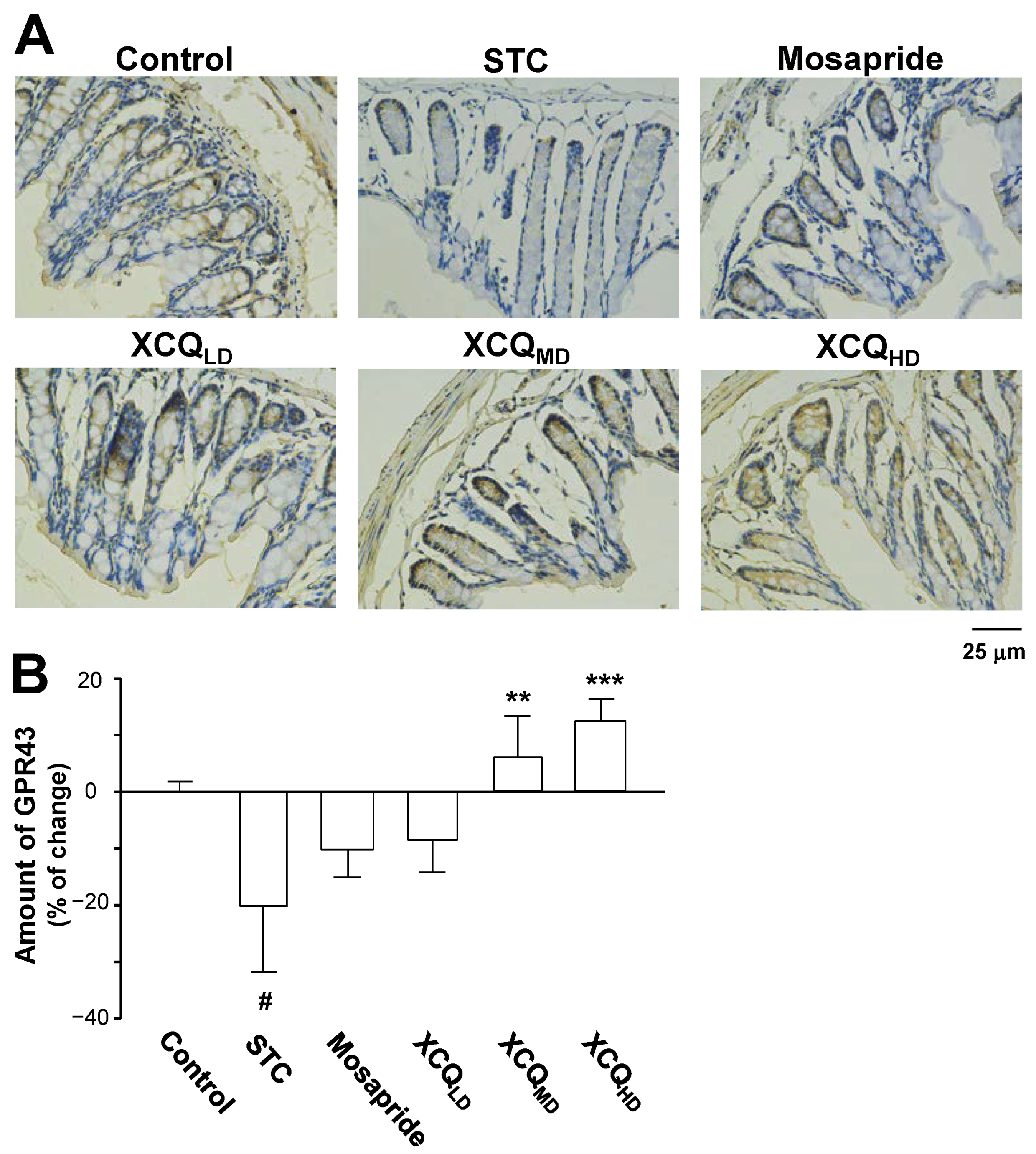 Pharmaceuticals 17 00153 g009