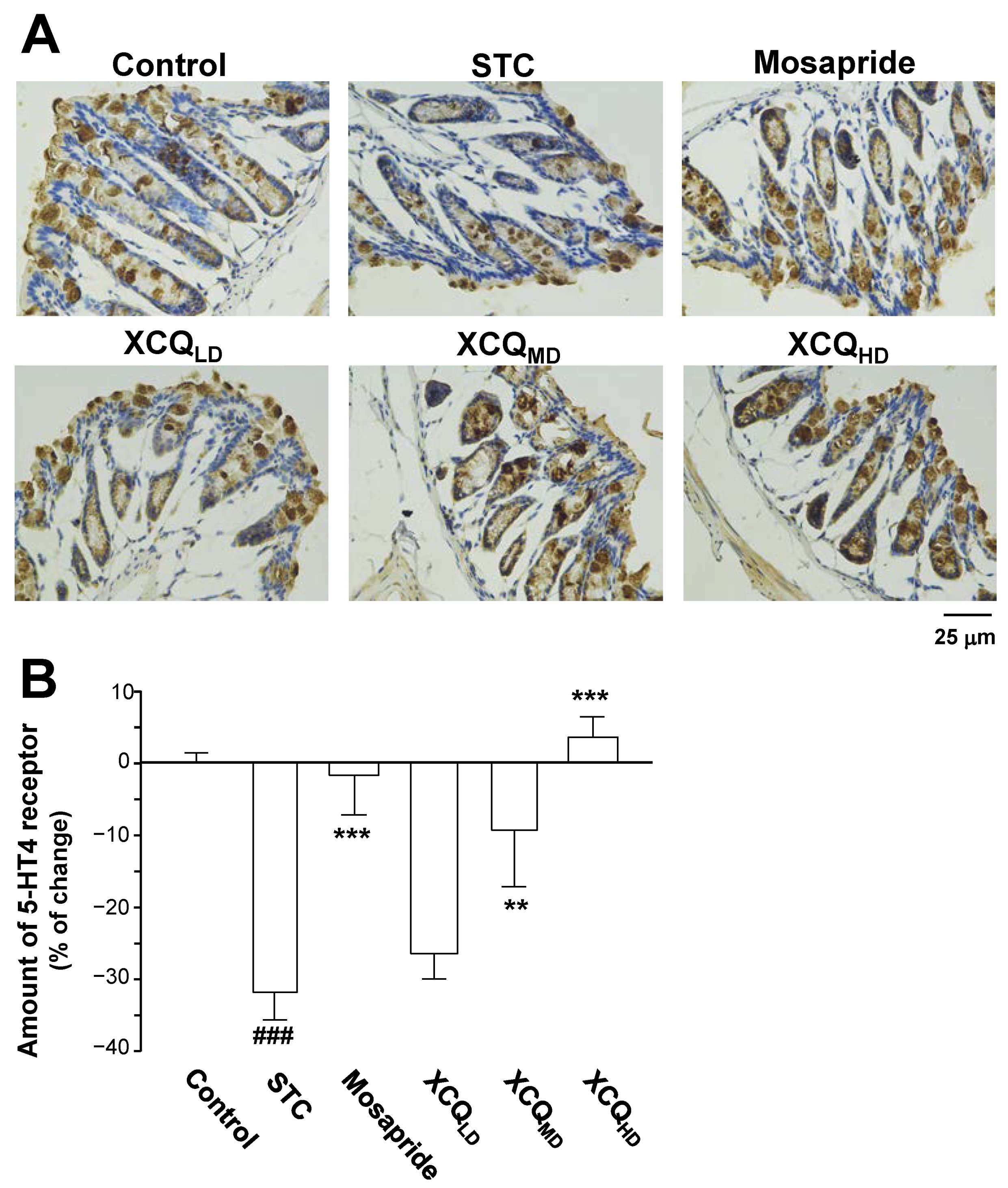 Pharmaceuticals 17 00153 g010