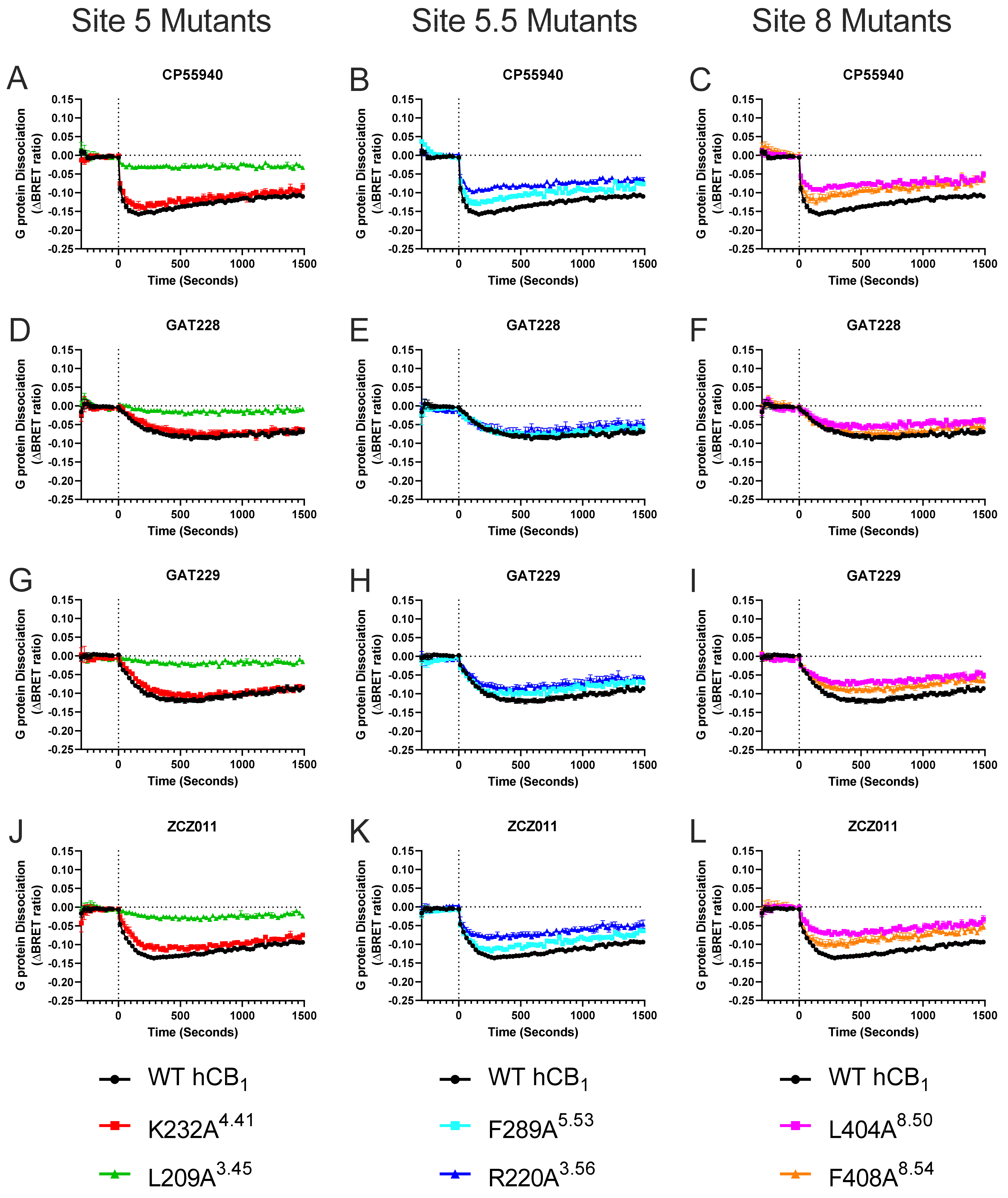 Pharmaceuticals 17 00154 g004