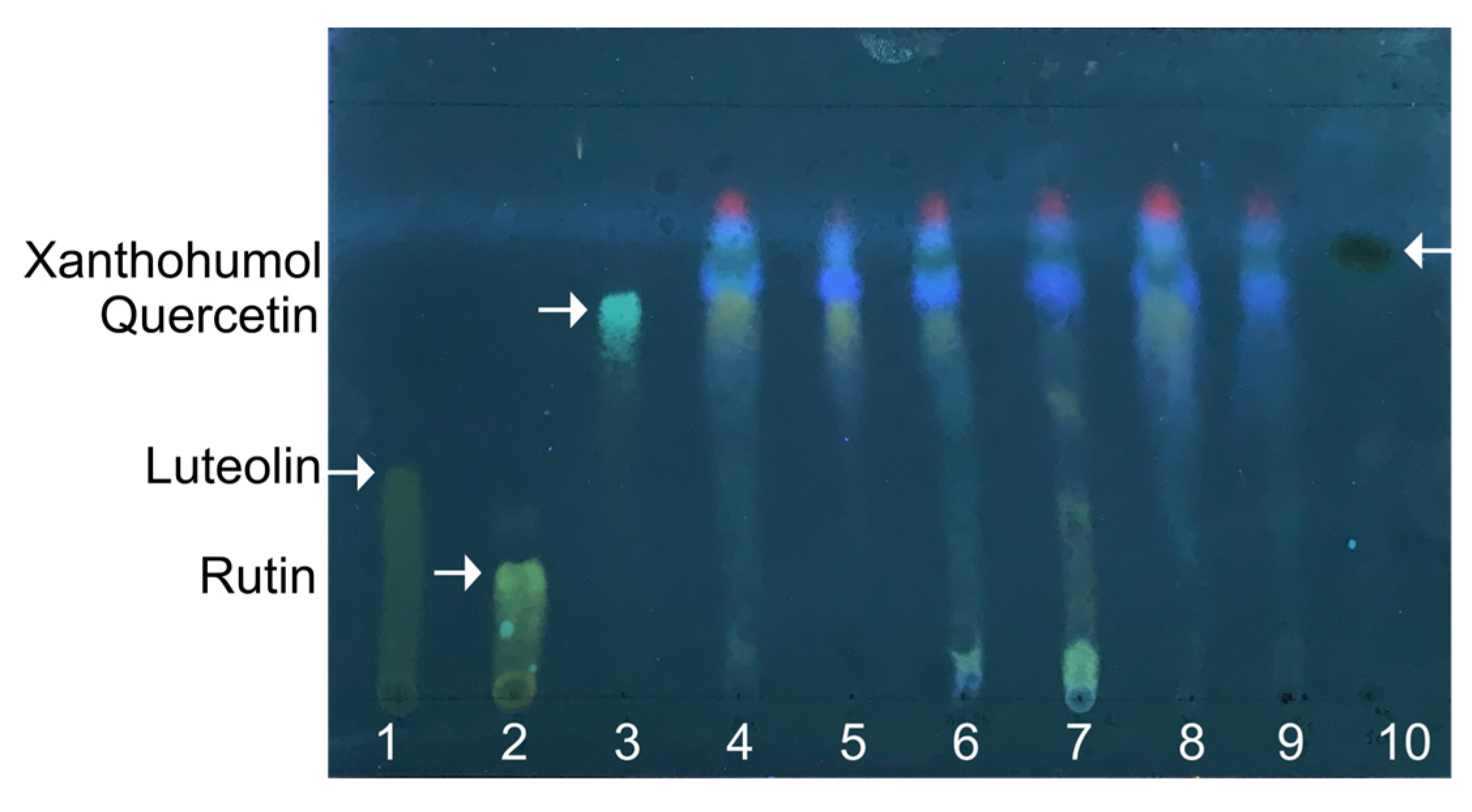 Pharmaceuticals 17 00162 g001