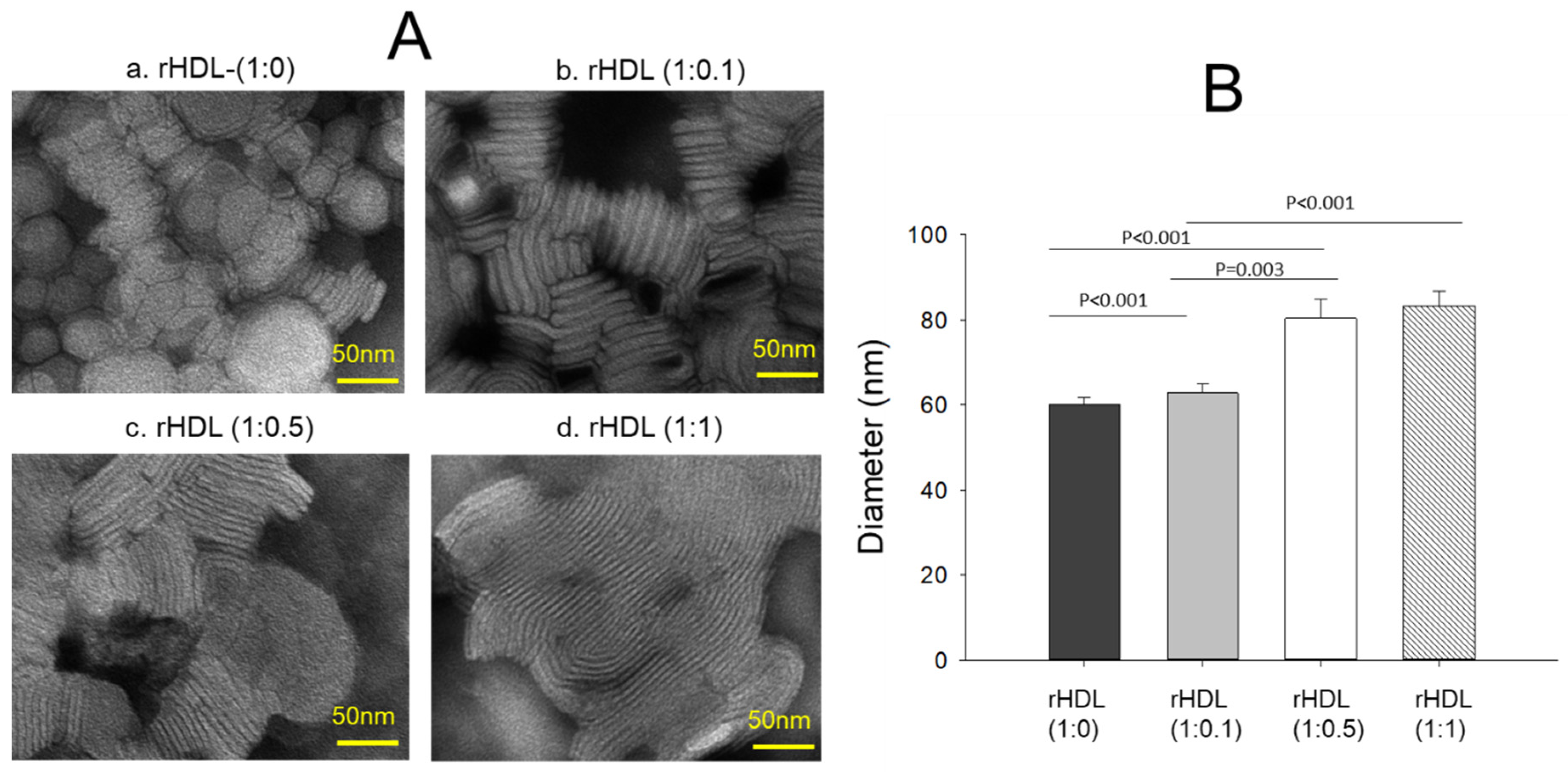Pharmaceuticals 17 00165 g002
