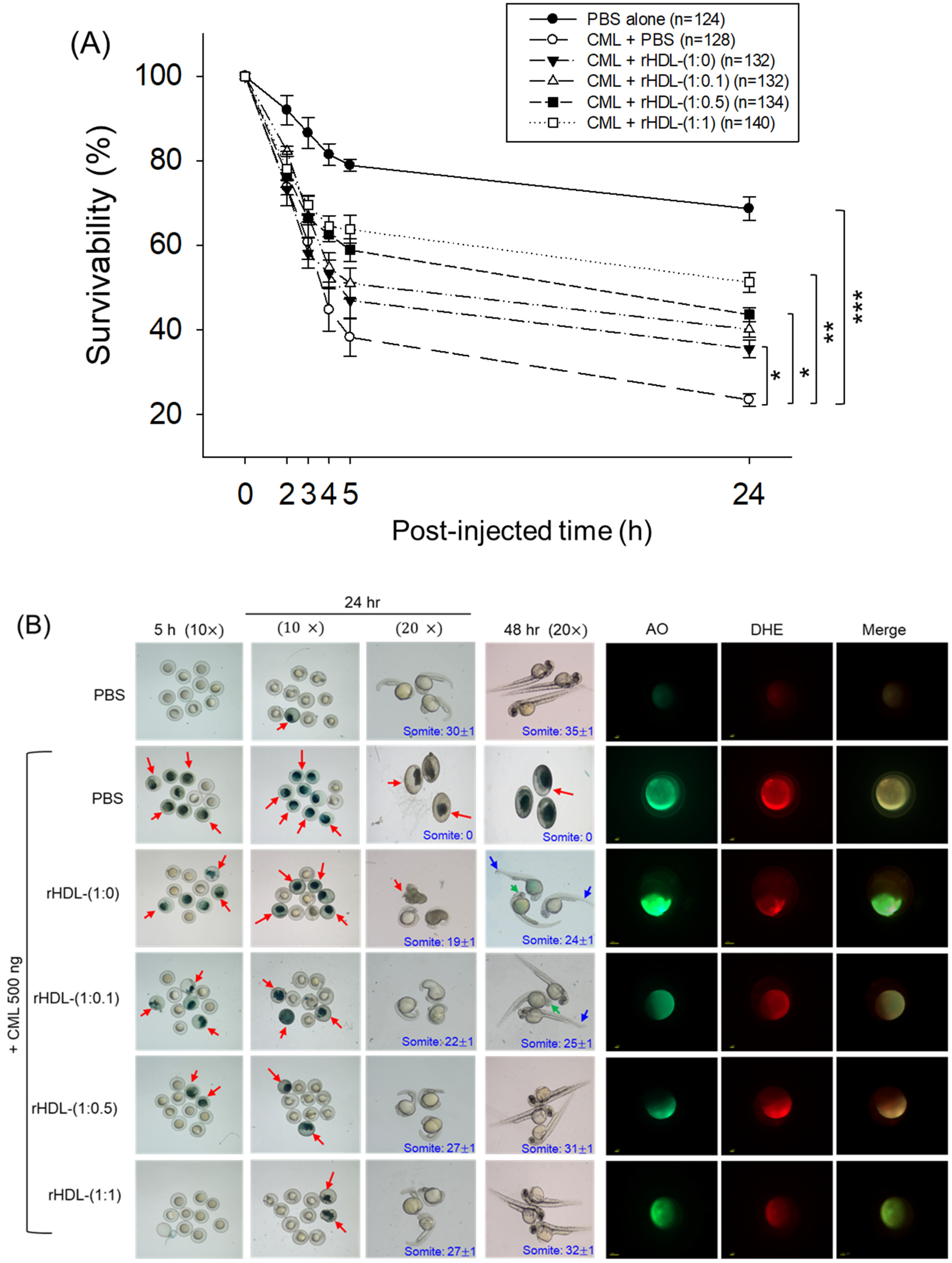 Pharmaceuticals 17 00165 g006a