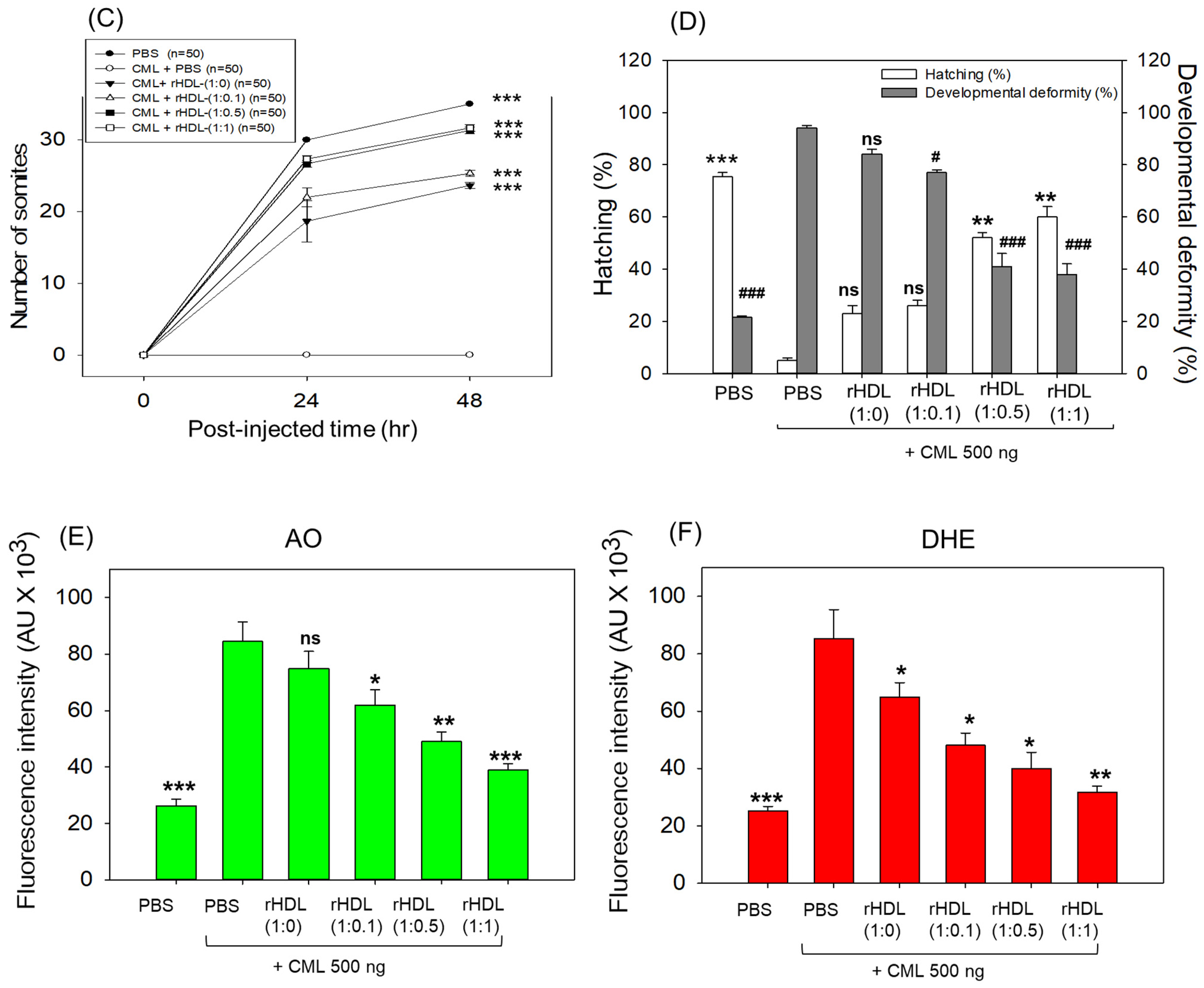 Pharmaceuticals 17 00165 g006b