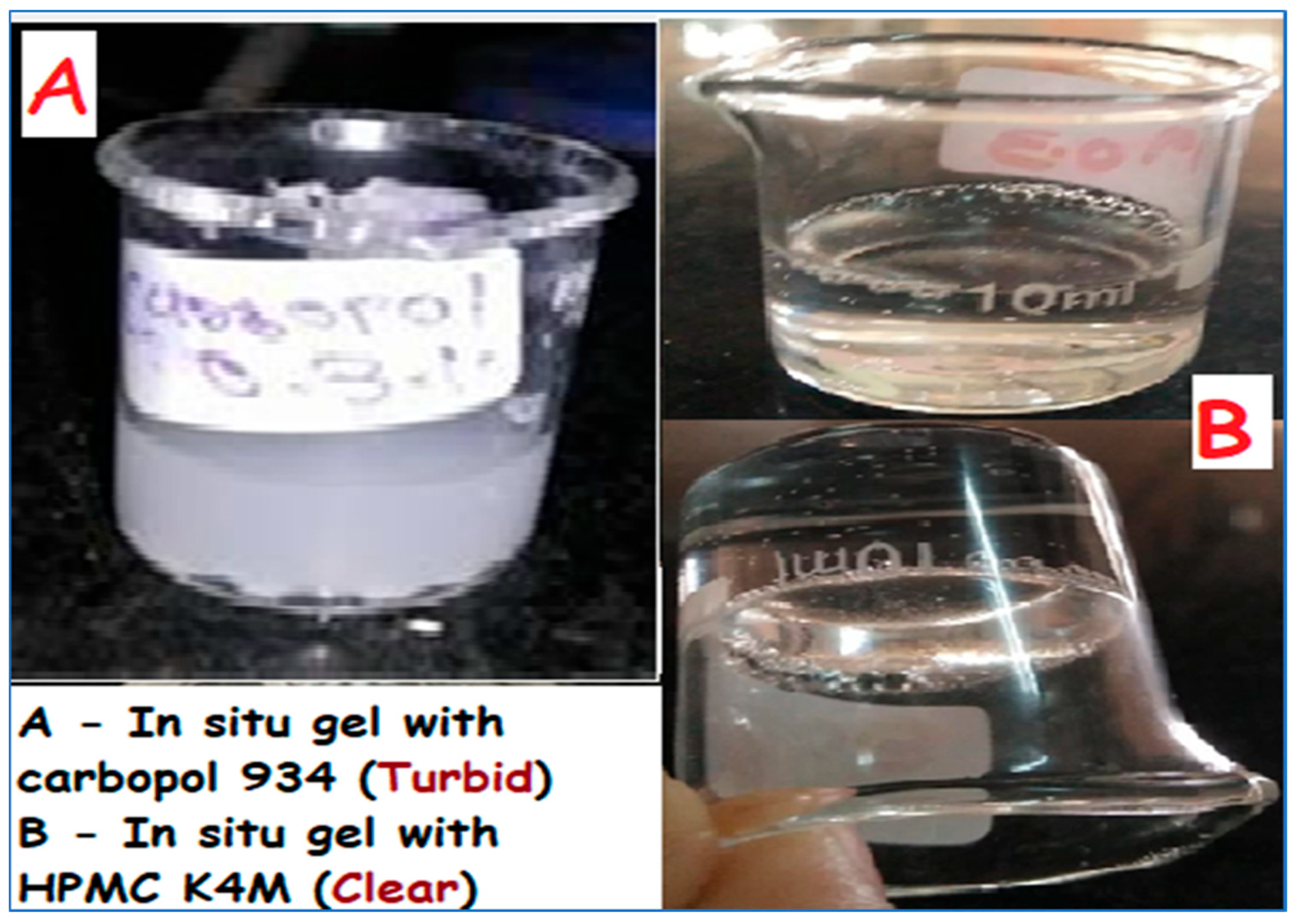 Pharmaceuticals 17 00172 g001 Pharmaceuticals 17 00172 g001