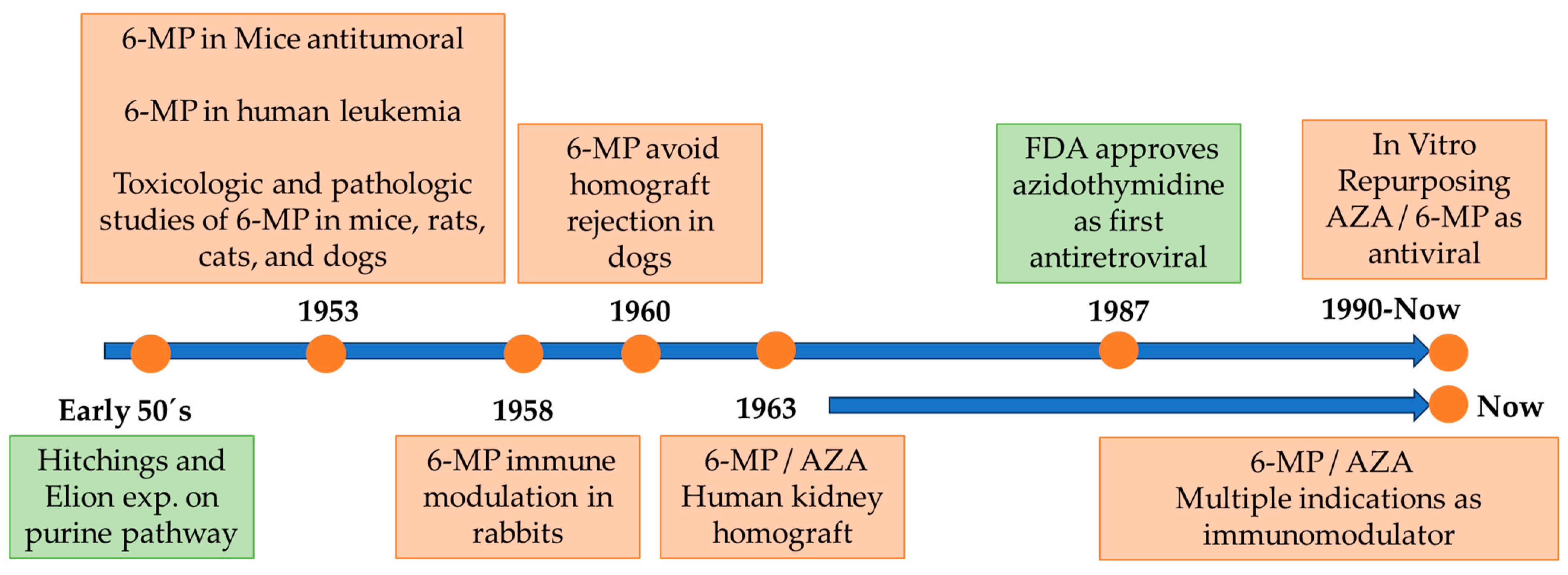 Pharmaceuticals 17 00174 g001