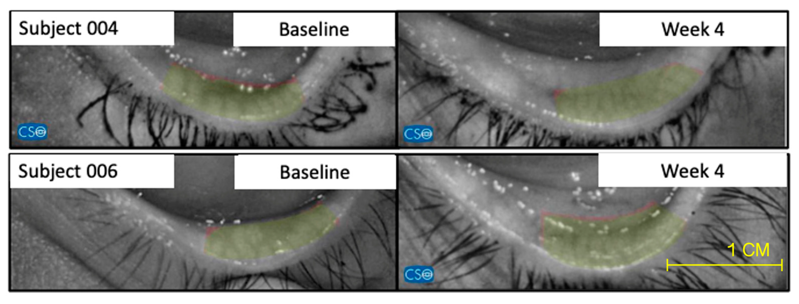 Pharmaceuticals 17 00175 g004
