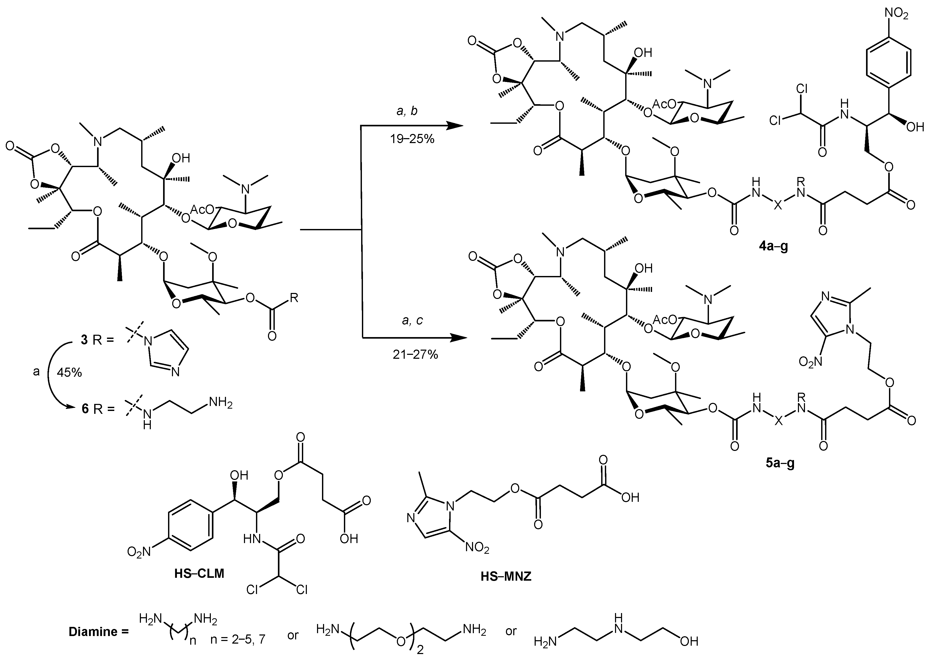 Pharmaceuticals 17 00187 sch002 Pharmaceuticals 17 00187 sch002