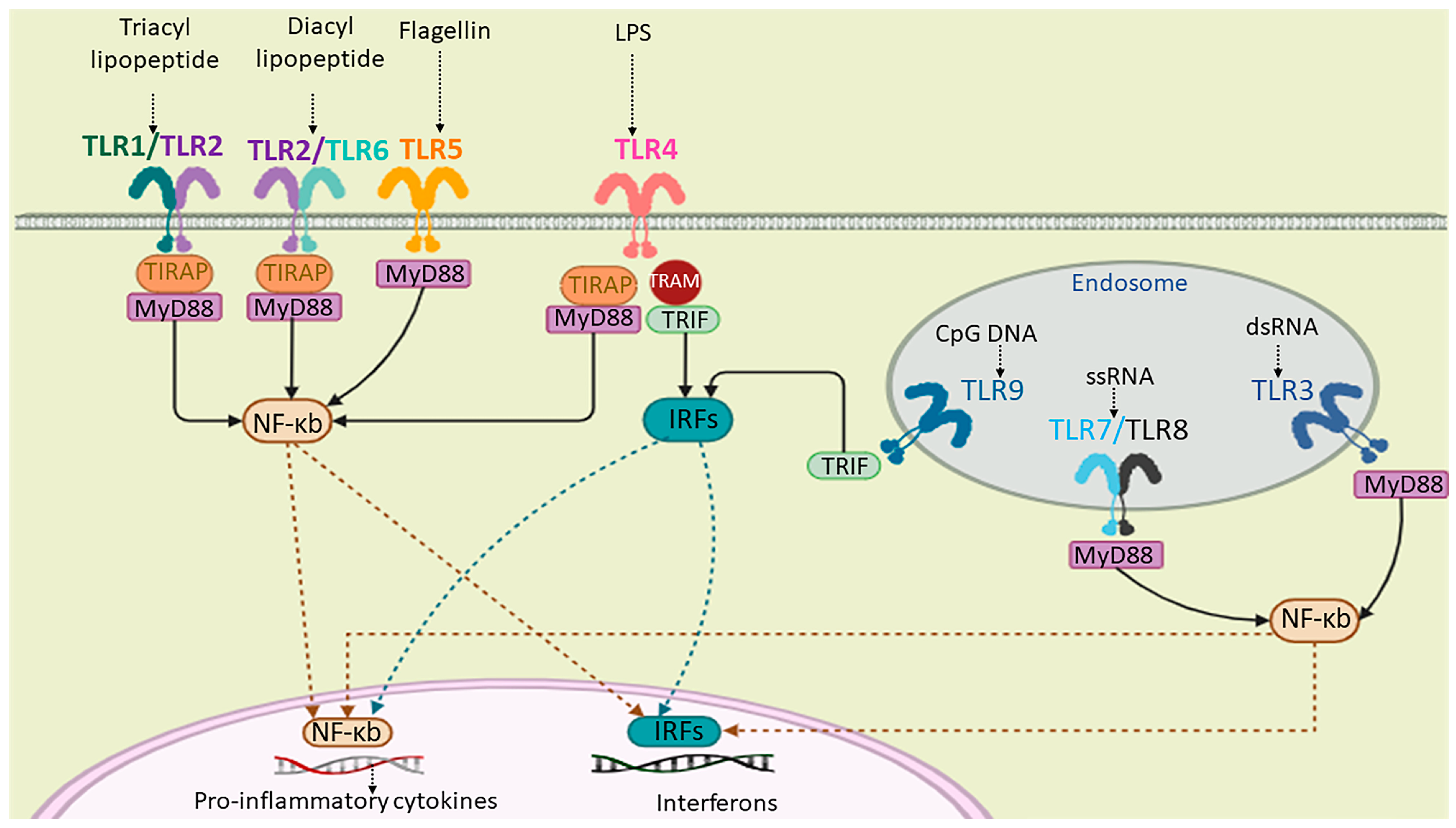 Pharmaceuticals 17 00201 g001