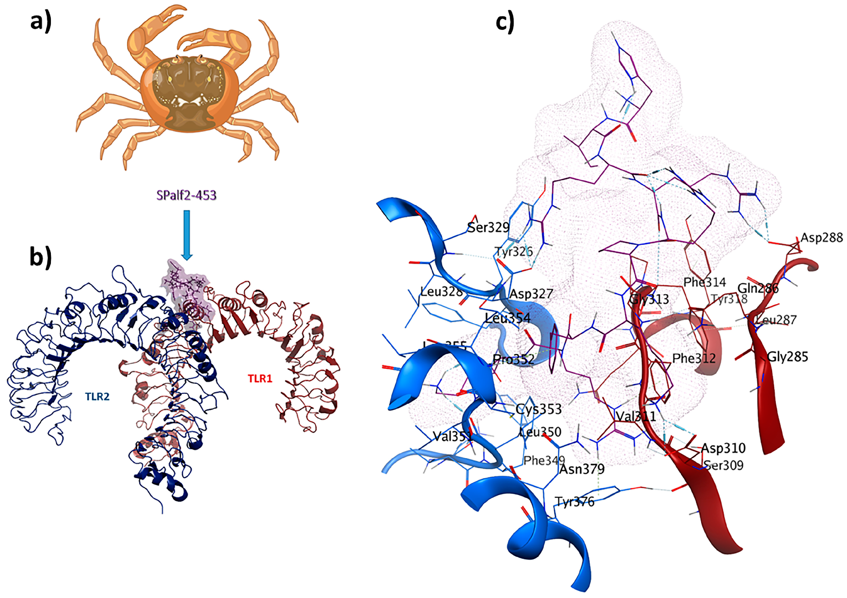 Pharmaceuticals 17 00201 g004