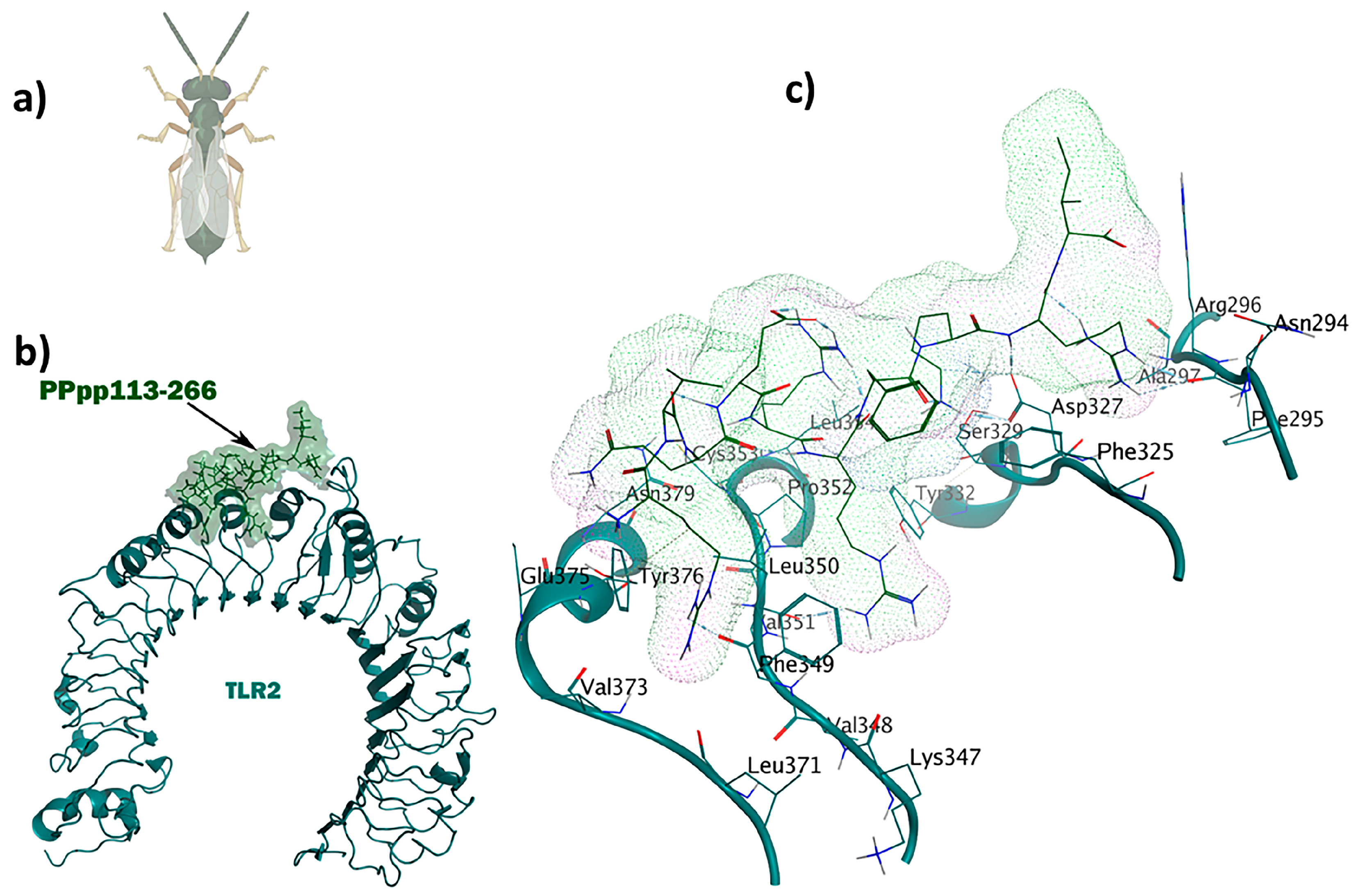 Pharmaceuticals 17 00201 g005